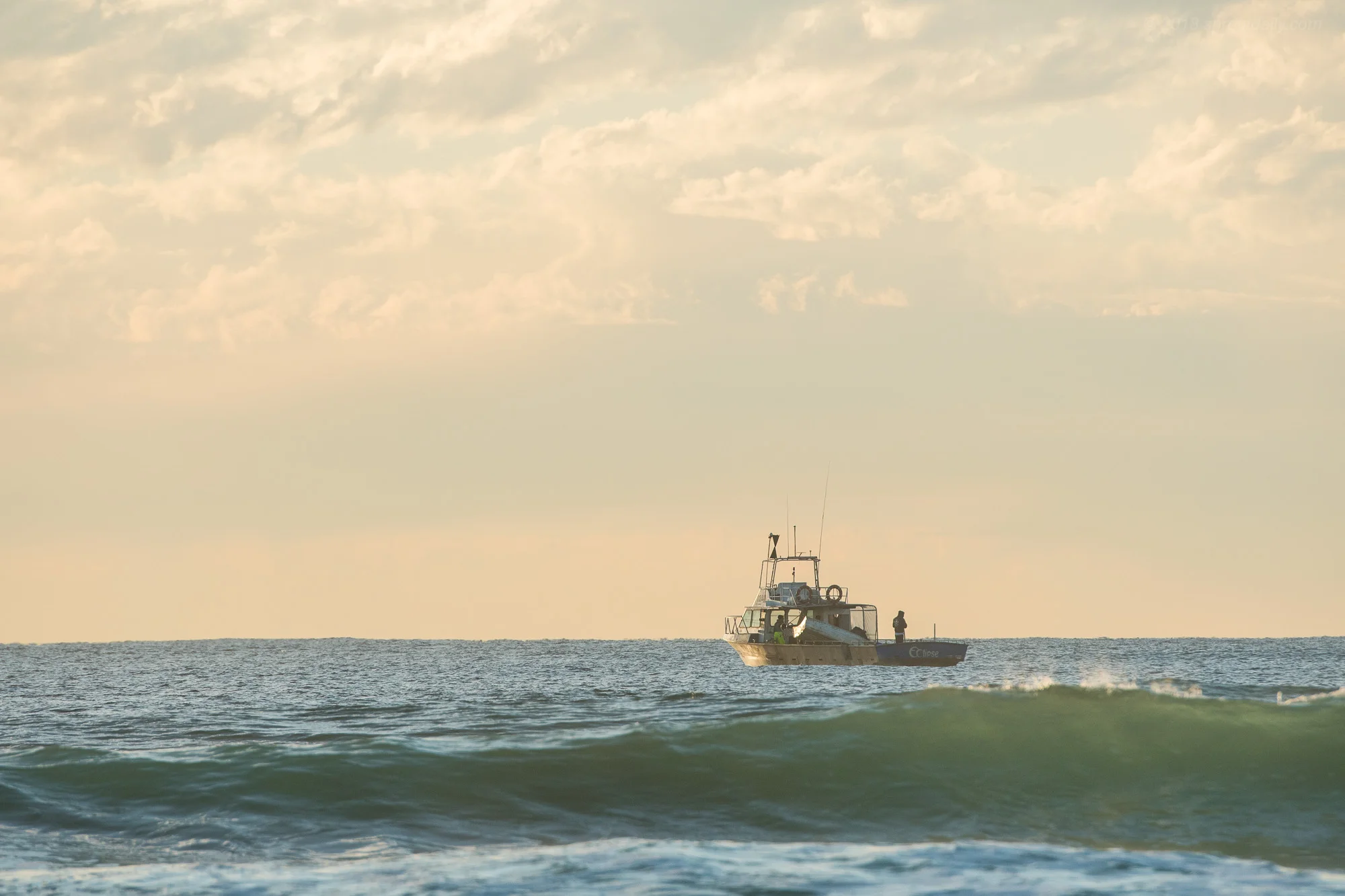 Shark Boat is back!