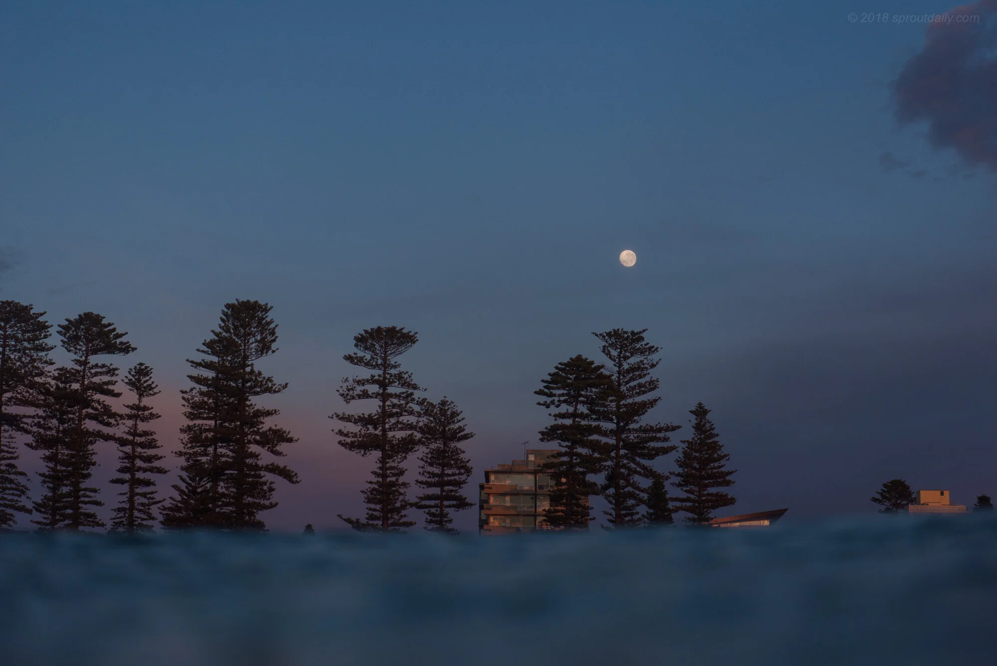 Harvest Moon