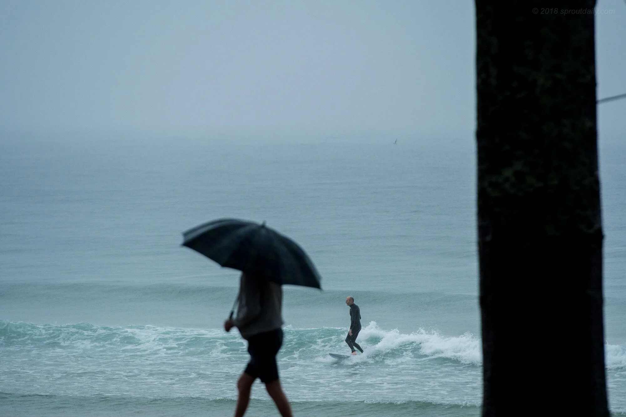 Gimme Shelter!