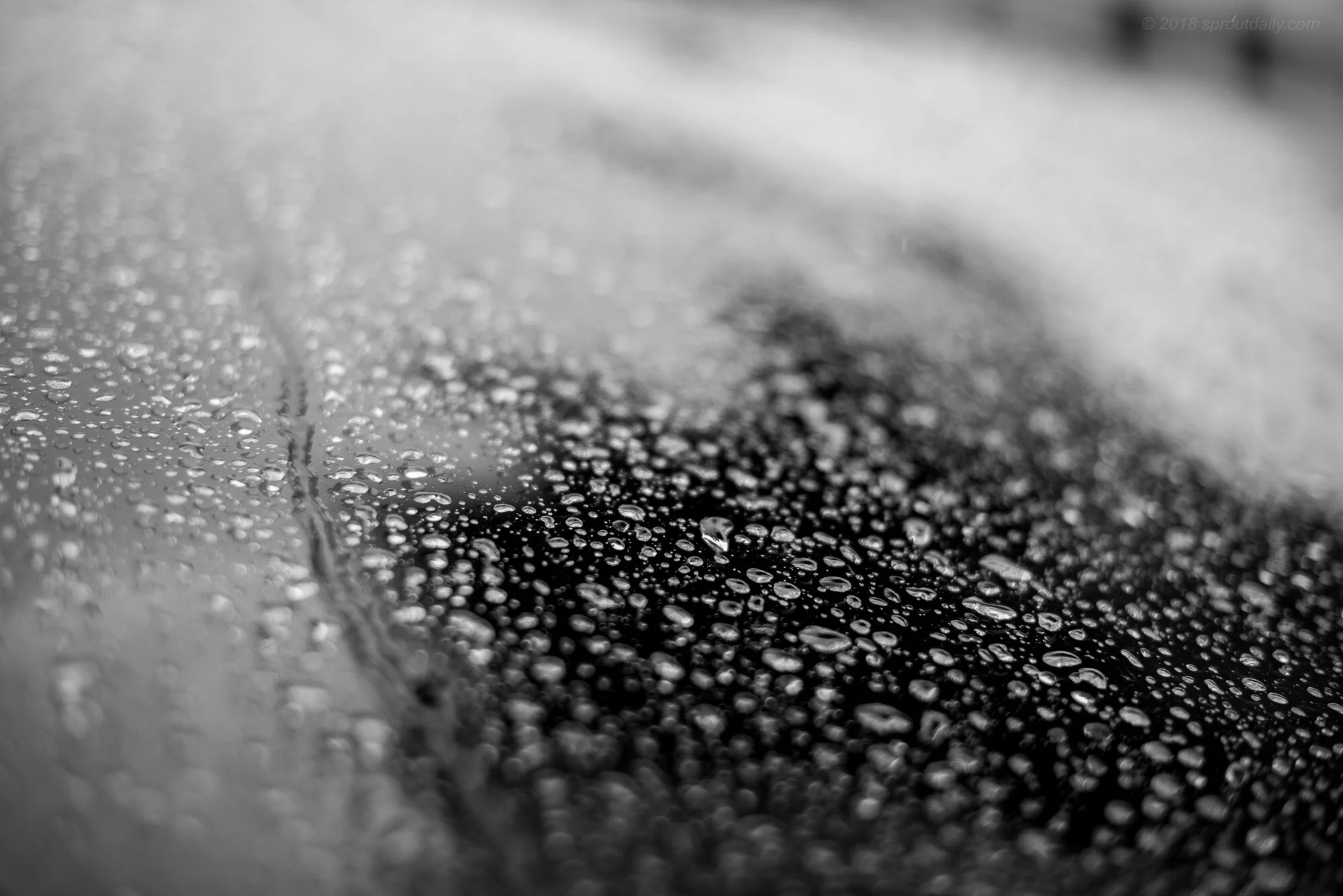 Texture #2