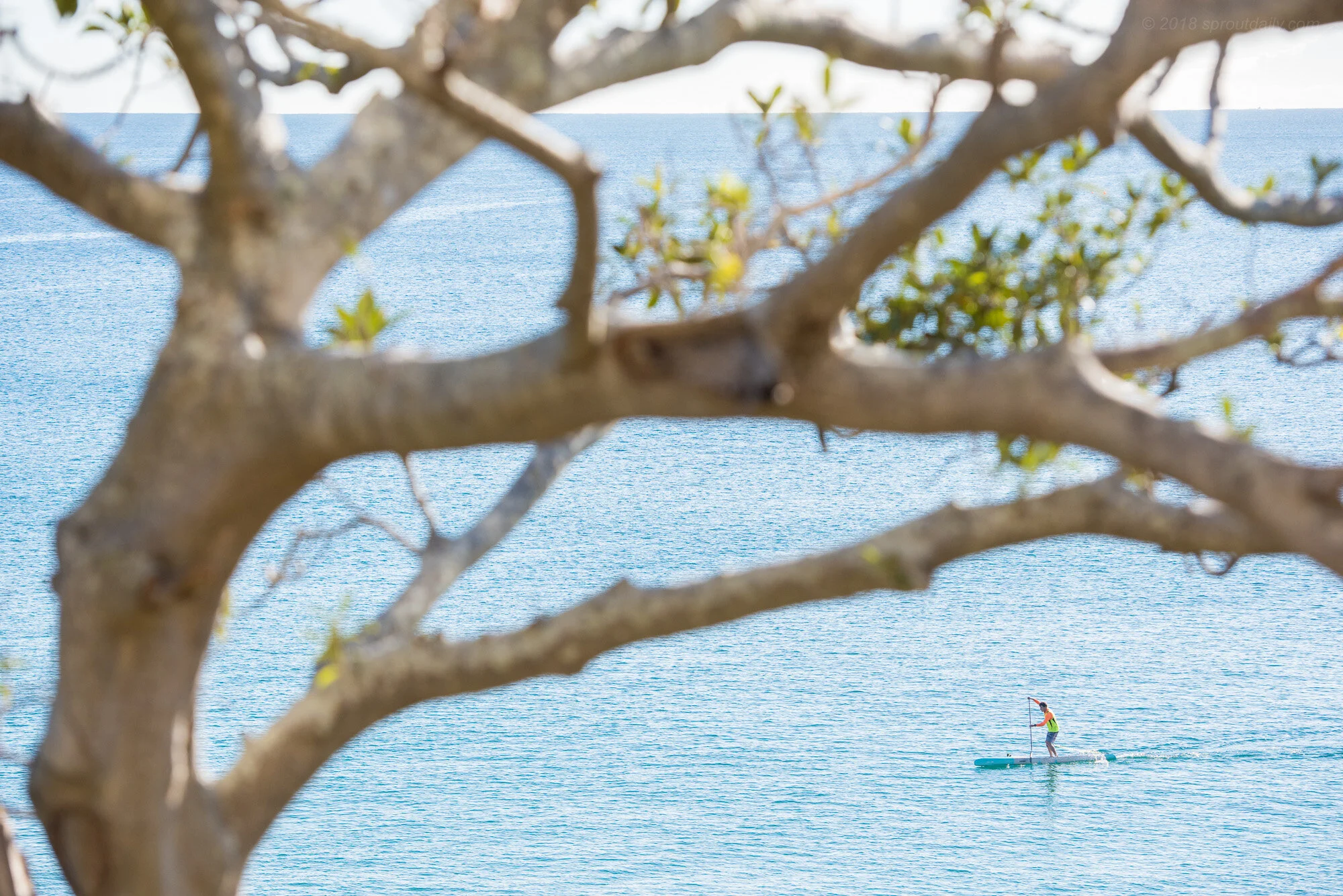 Good day for a paddle!
