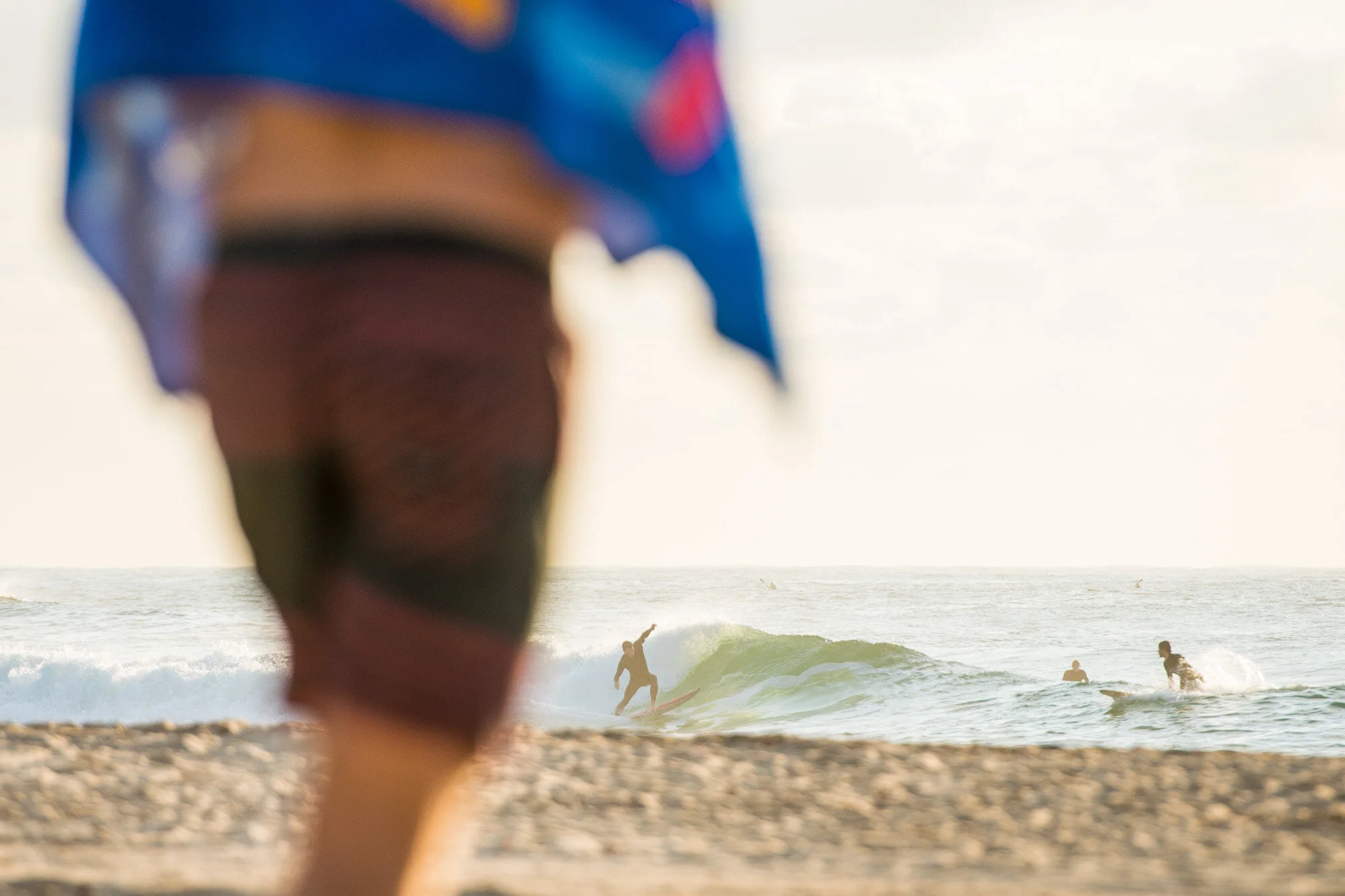 Surf or Swim