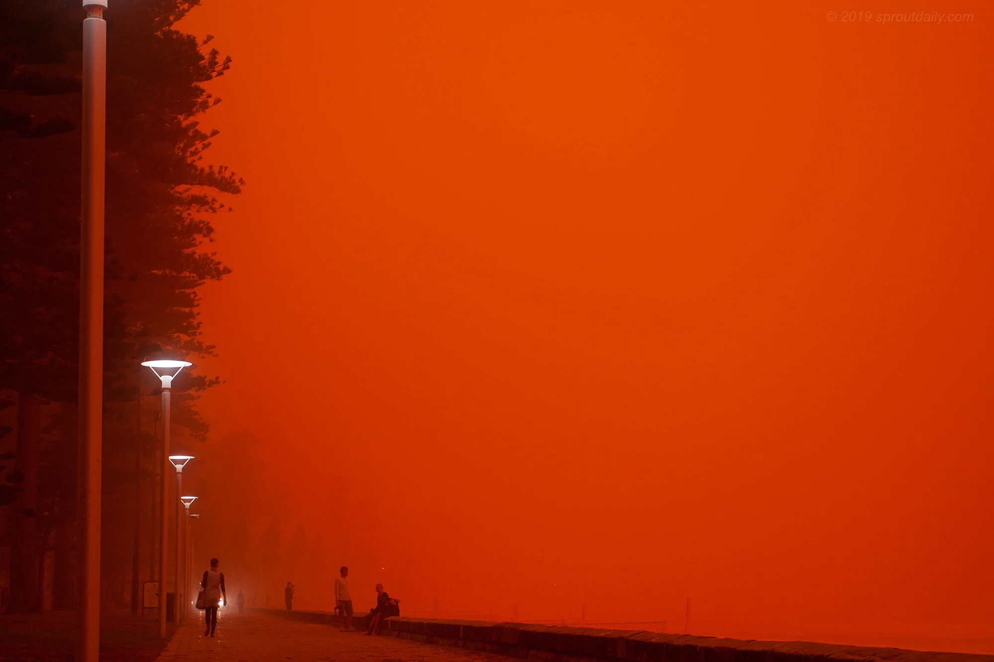 Dust Dawn