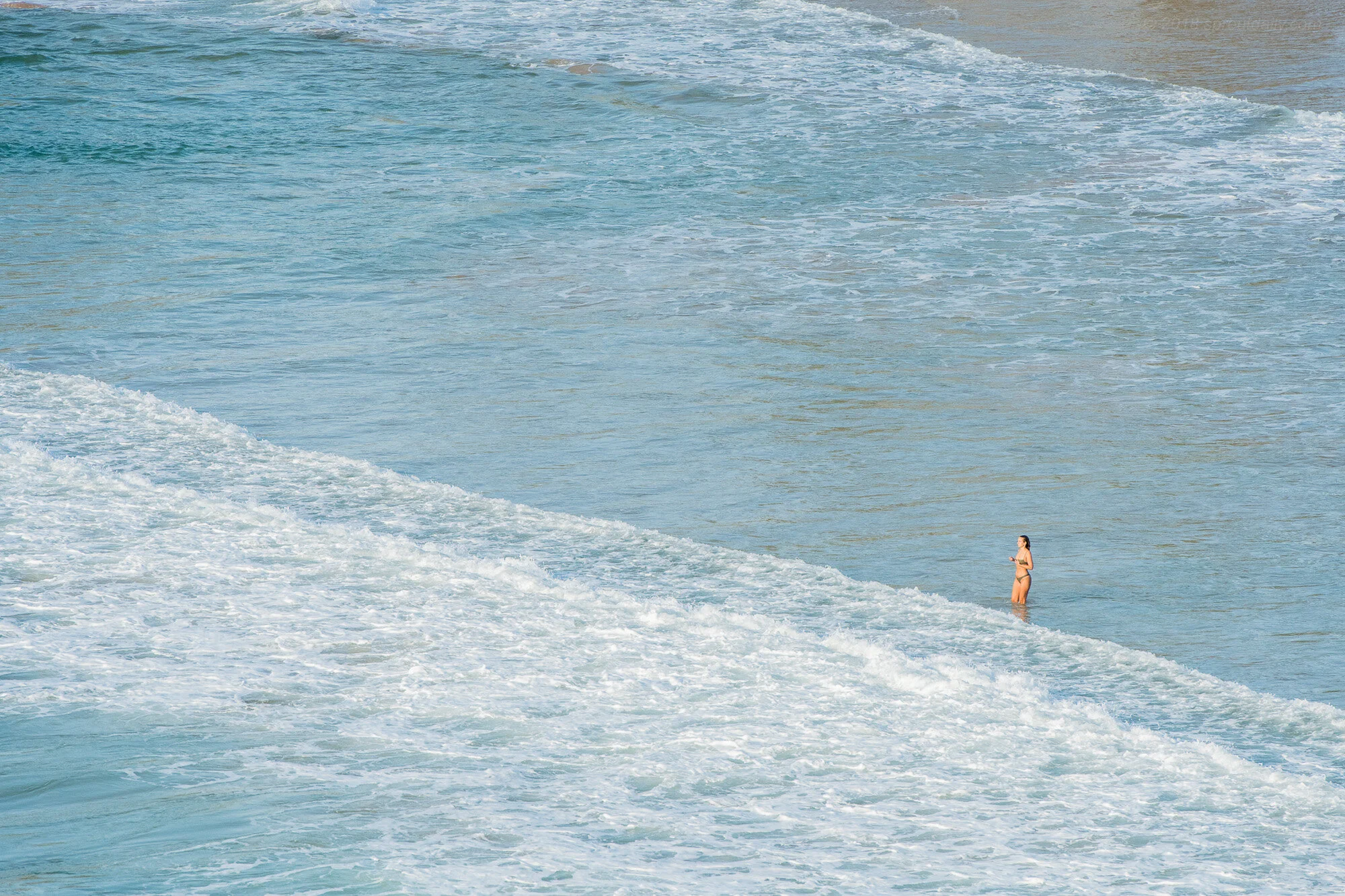 Swim Lines