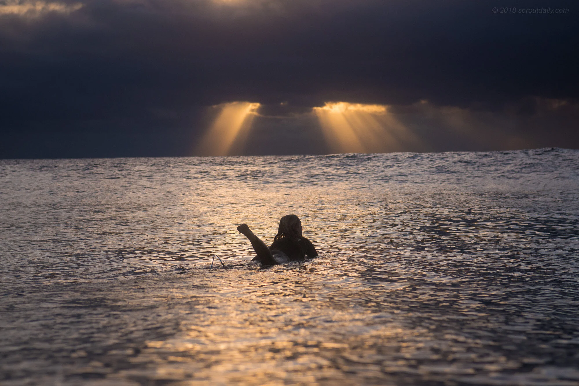 Splitting the Light