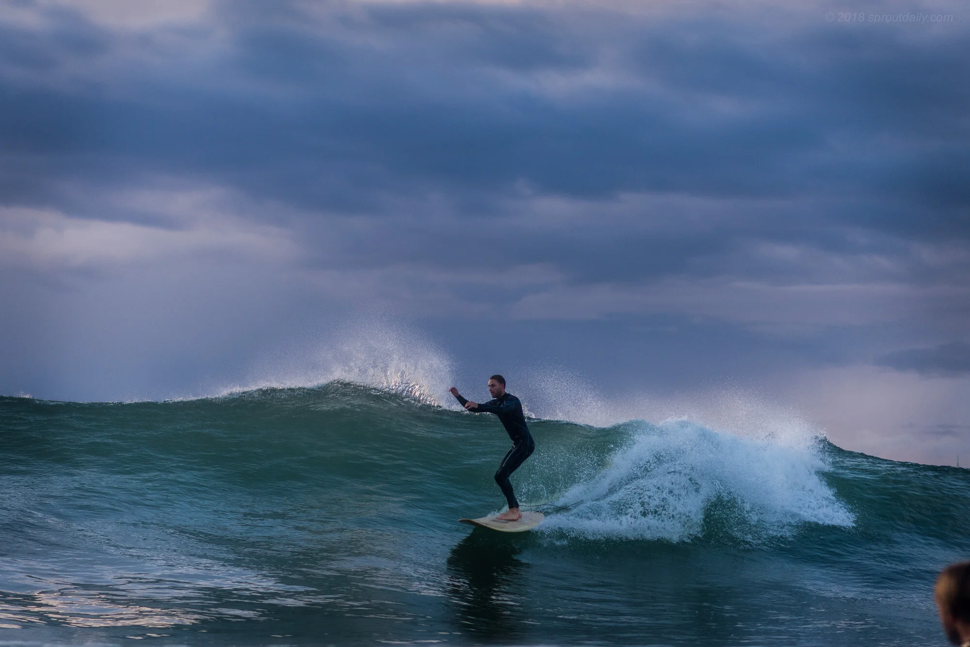 Skim