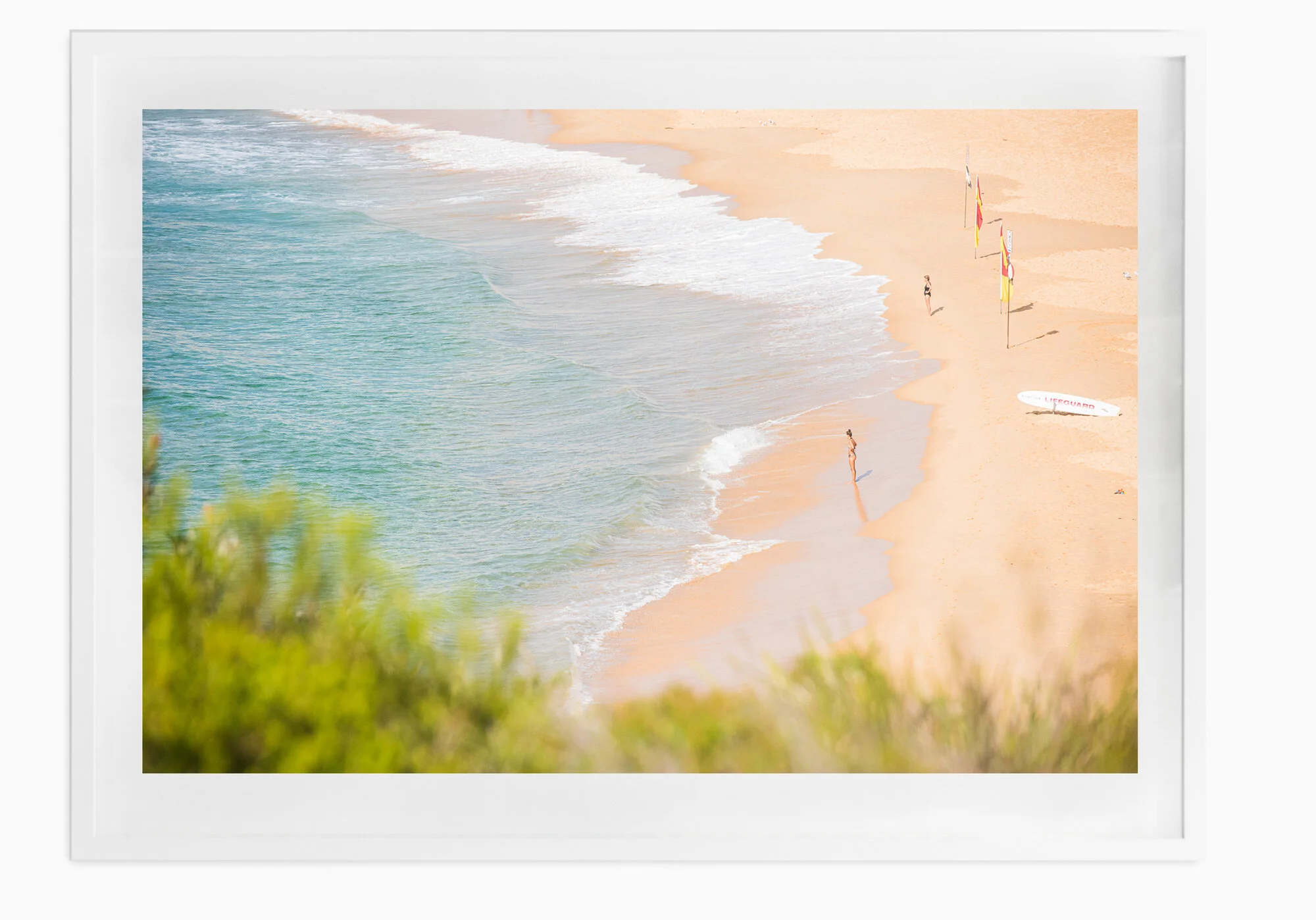 mfsprout_20190206_150-White-Frame.jpg