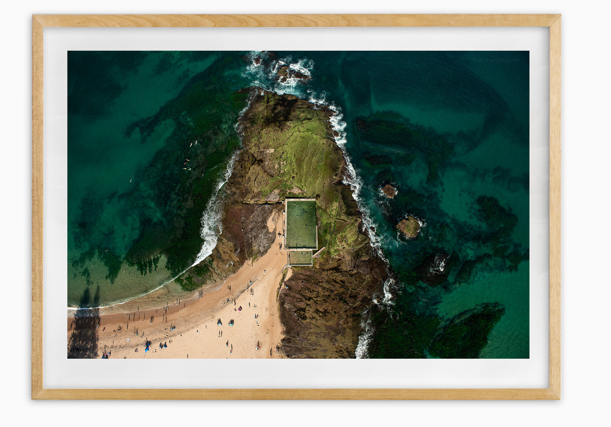 mfsprout_20201206_2018-Tassy-Oak-Frame.jpg