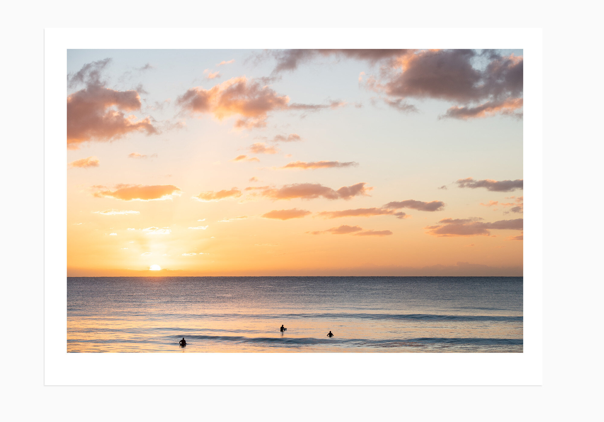 mfsprout_20210802_6-Print.jpg