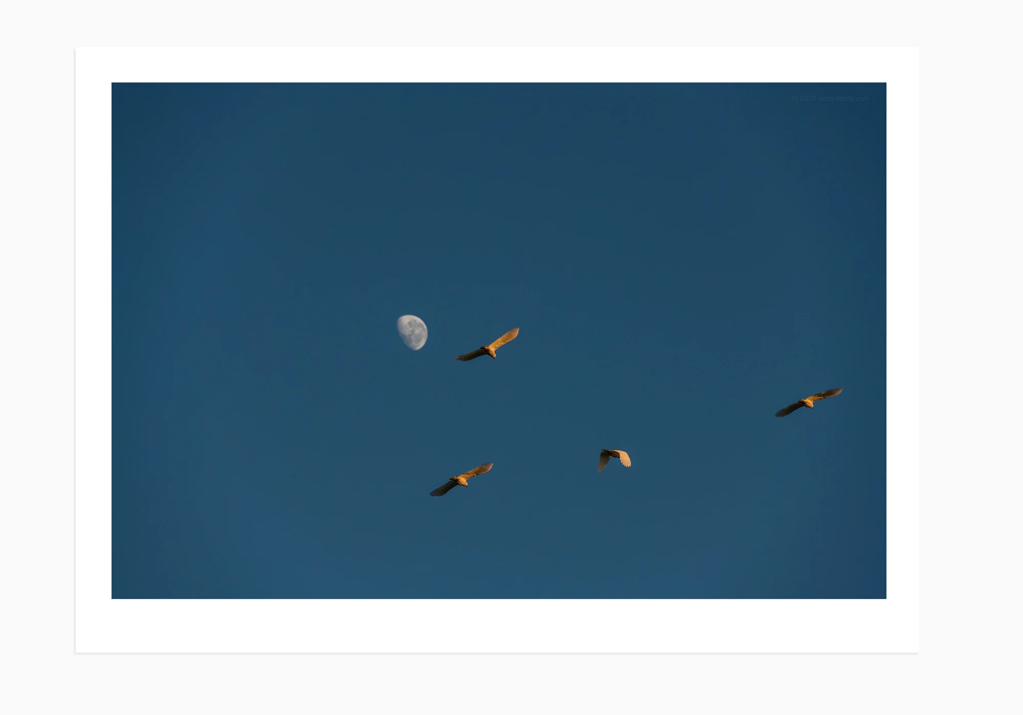 Flight To The Moon