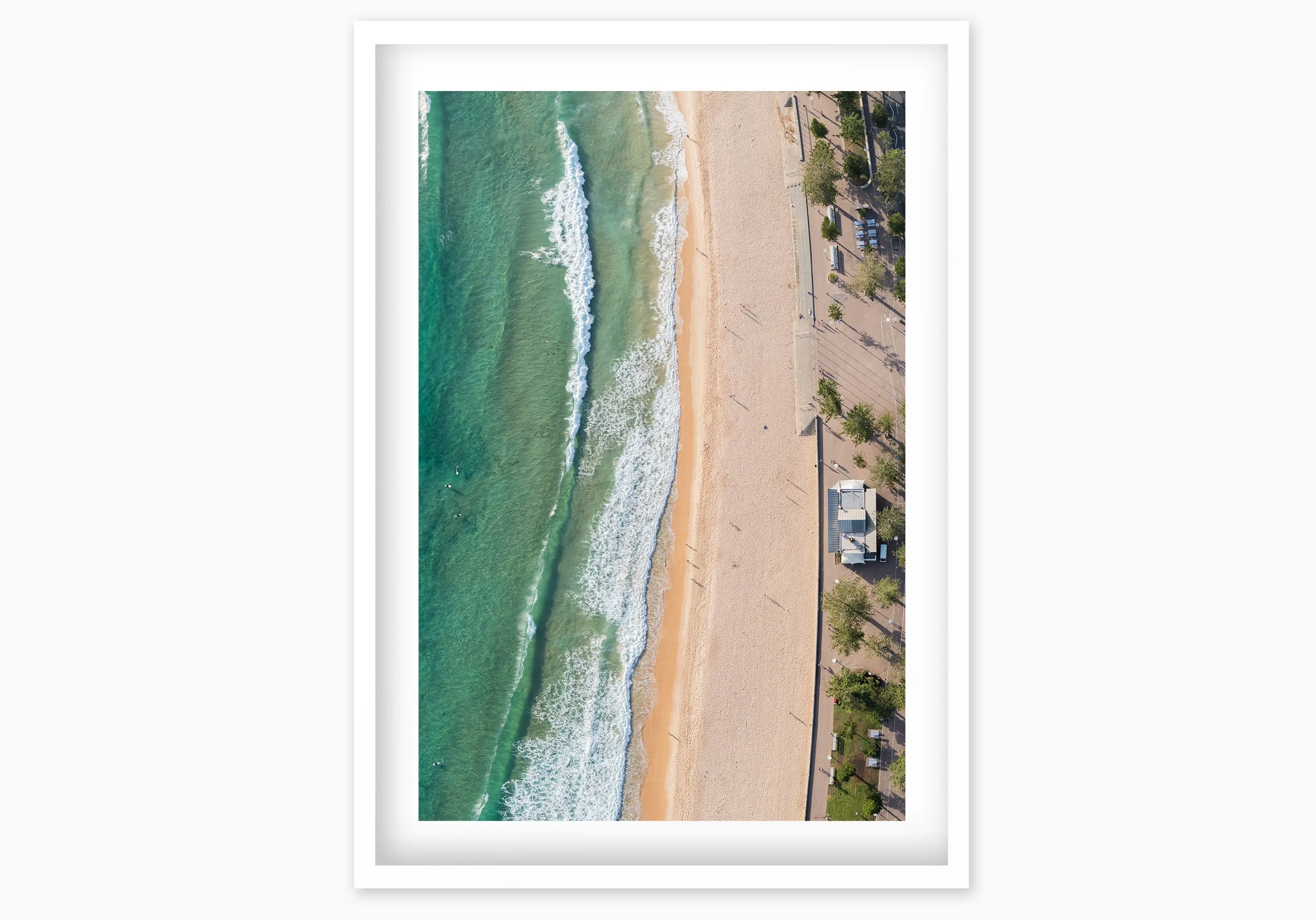 mfsprout_20181203_518_WhiteBox-Frame-SproutDaily_PrintShop.jpg