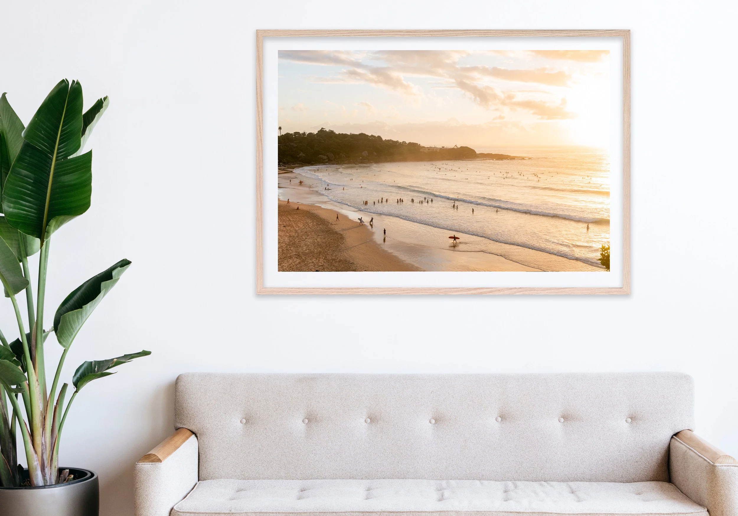 Insitu_mfsprout_20240308_57_RawOak-Frame_SproutDaily_PrintShop.jpg