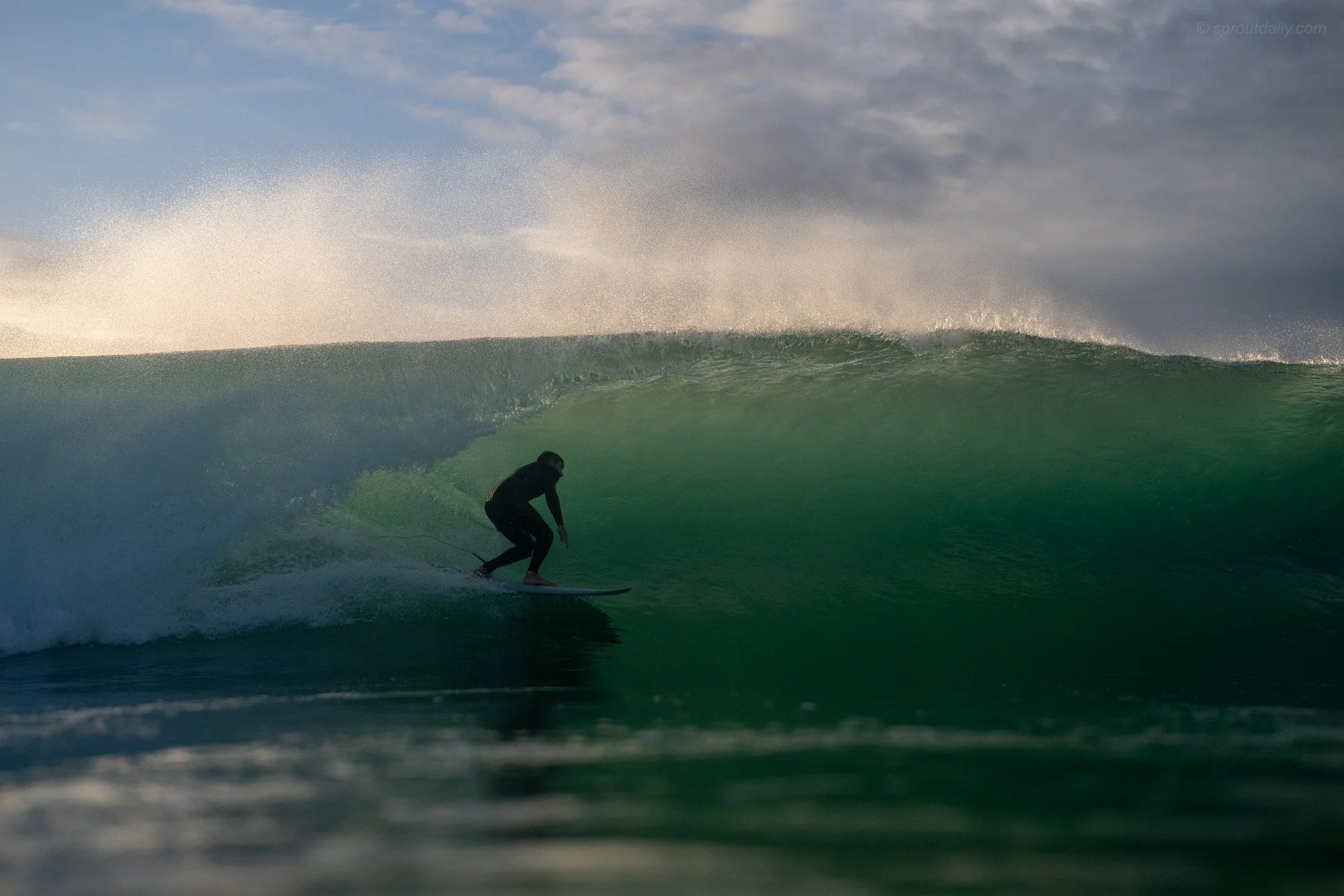 Sunshine &amp; Waves