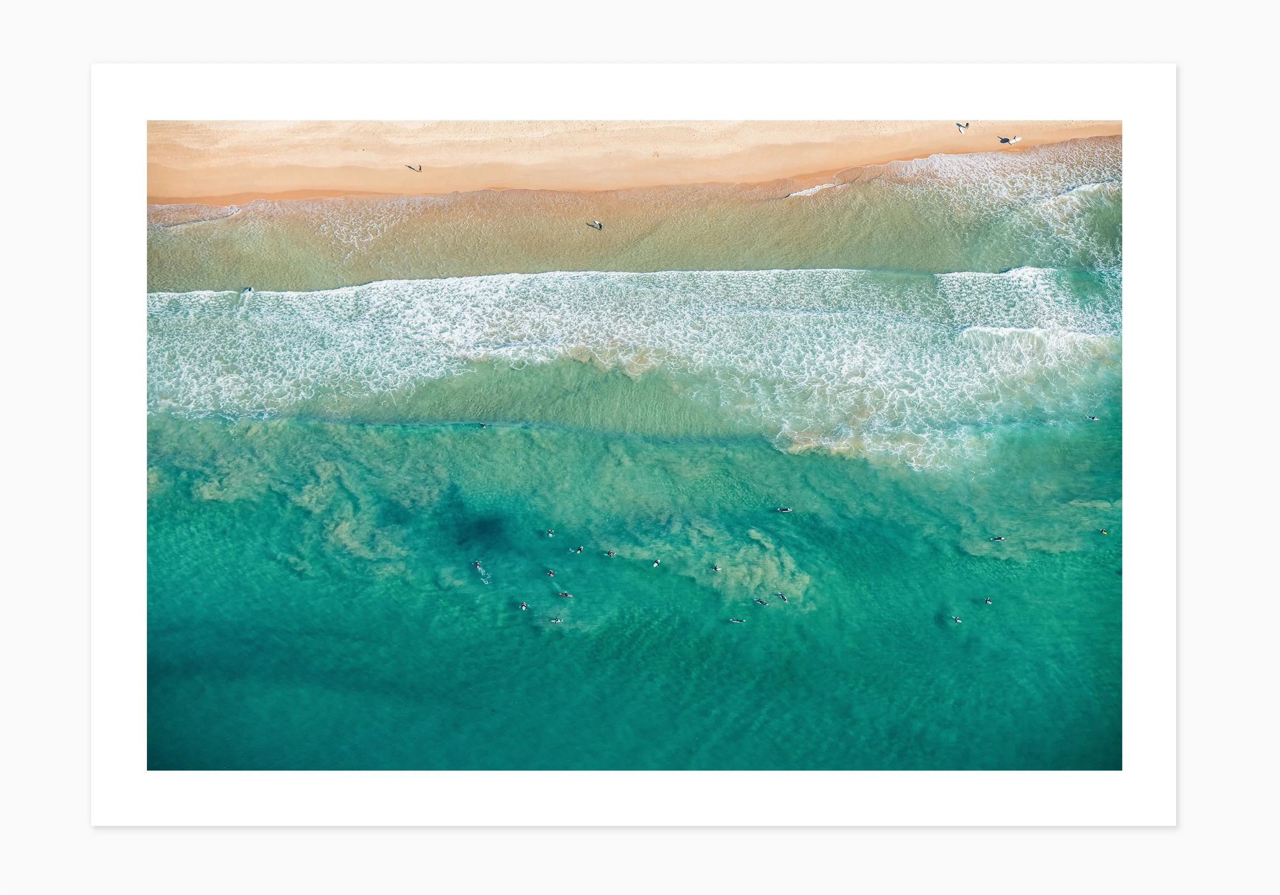 mfsprout_20190815_1003_PrintOnly-SproutDaily_PrintShop.jpg