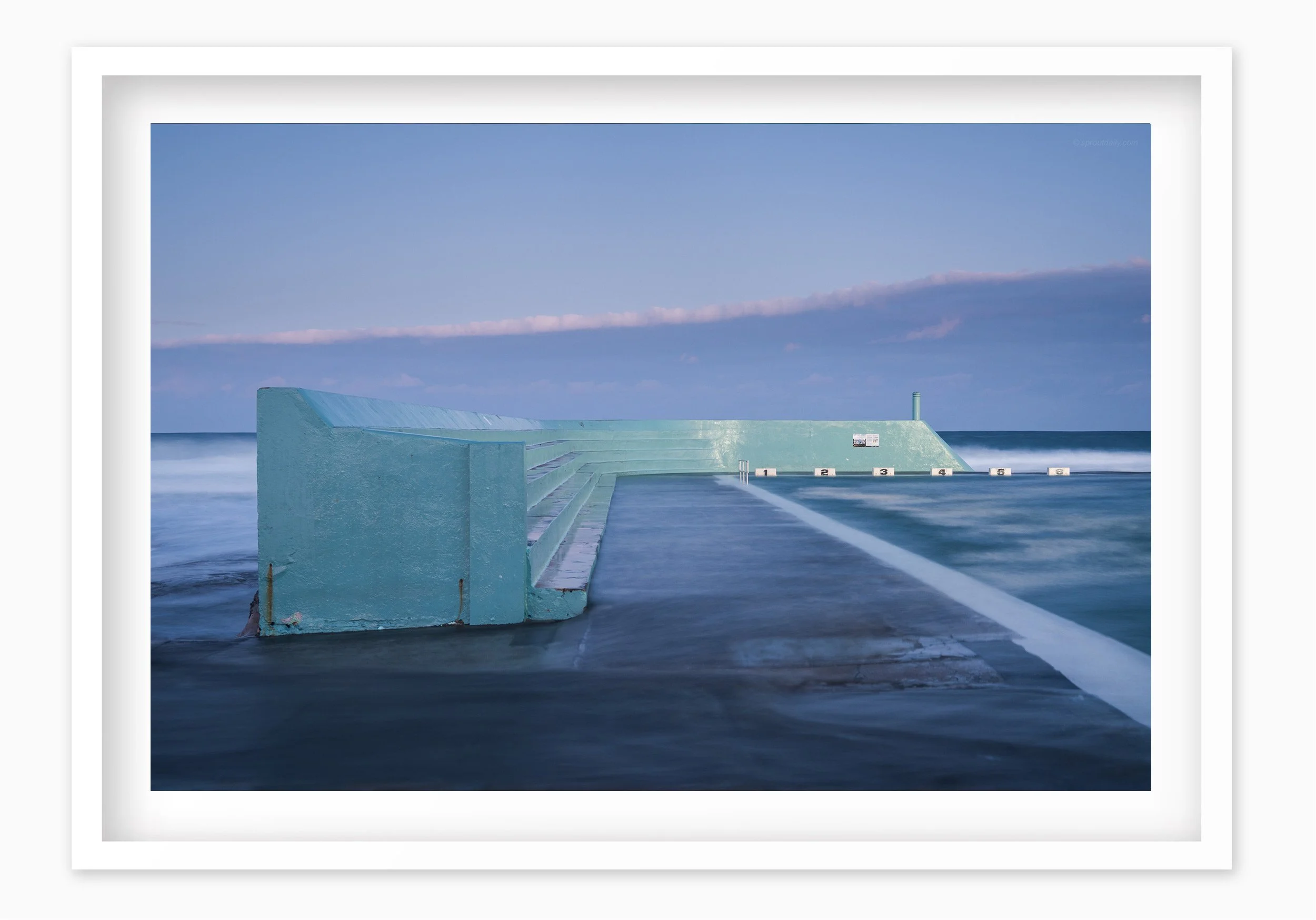 mfsprout20180709_483_WhiteBox-Frame-SproutDaily_PrintShop.jpg