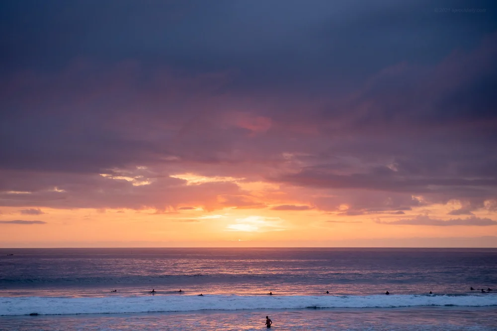 All Happening — Sprout Daily