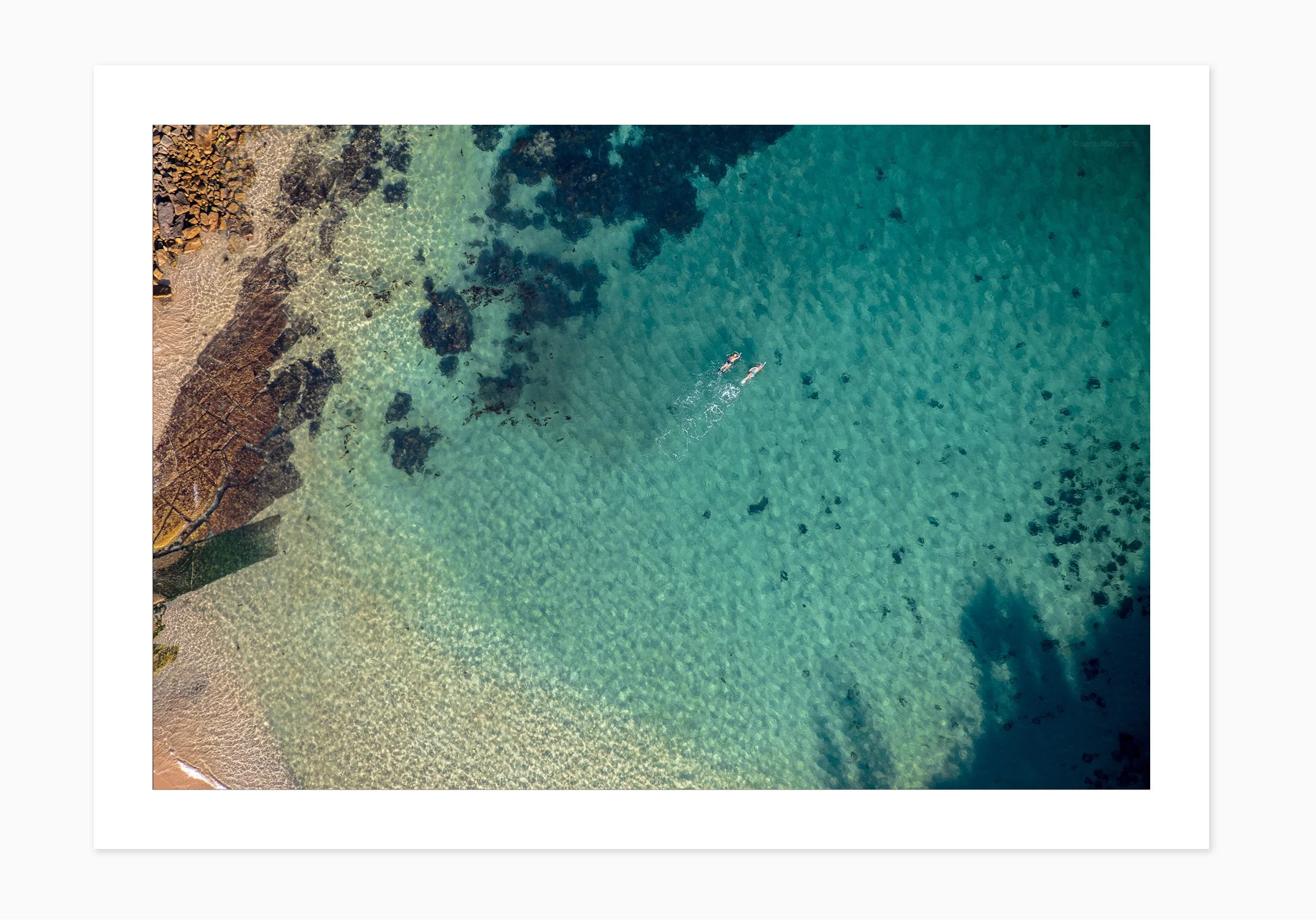 mfsprout_20190815_976_PrintOnly-SproutDaily_PrintShop.jpg