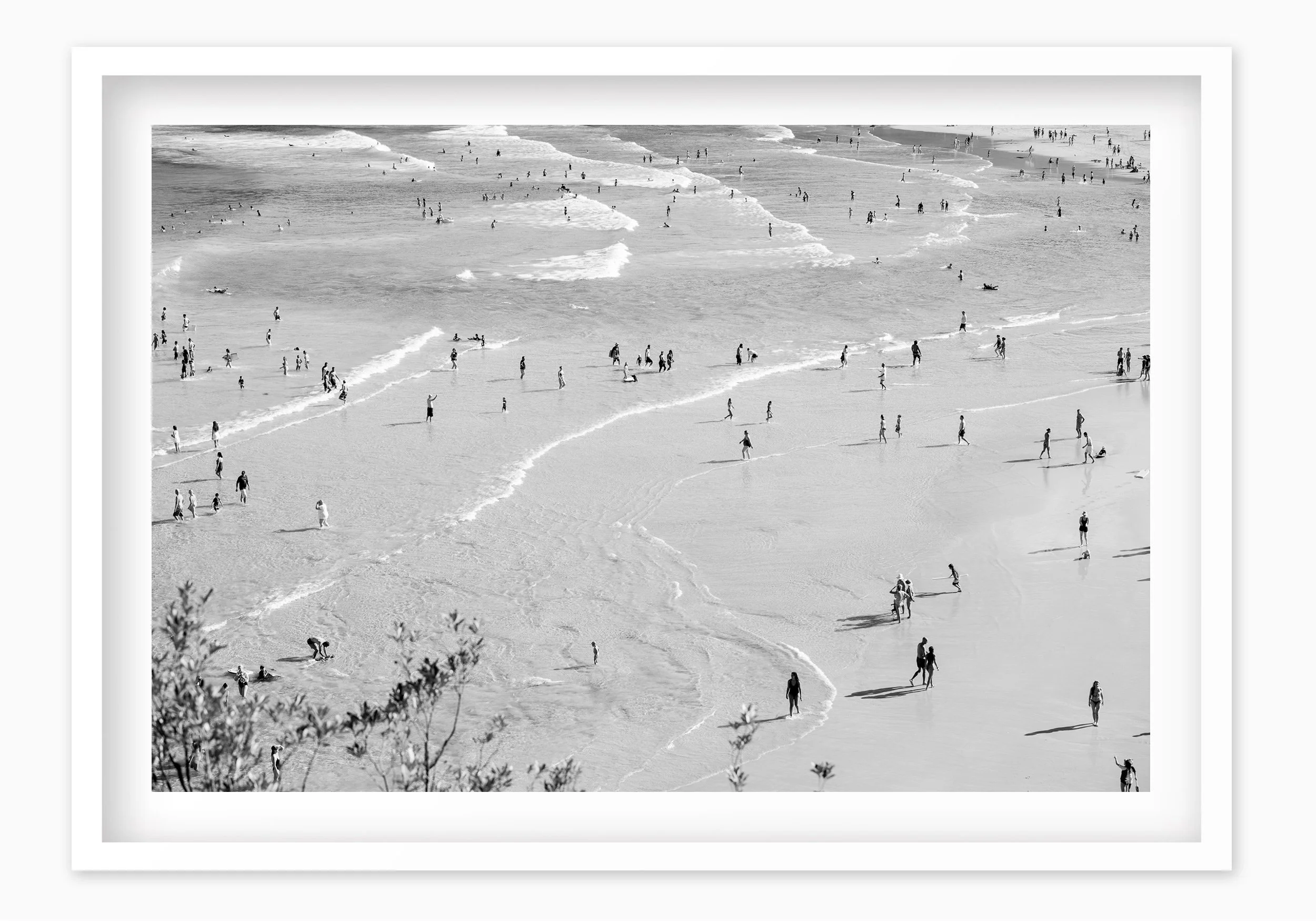 mfsprout_20180318_330_WhiteBox-Frame-SproutDaily_PrintShop.jpg