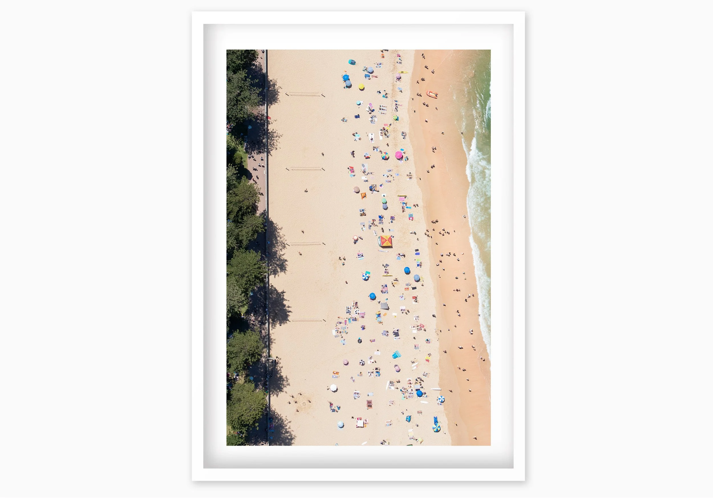 mfsprout_20190101-3014_WhiteBox-Frame-SproutDaily_PrintShop.jpg
