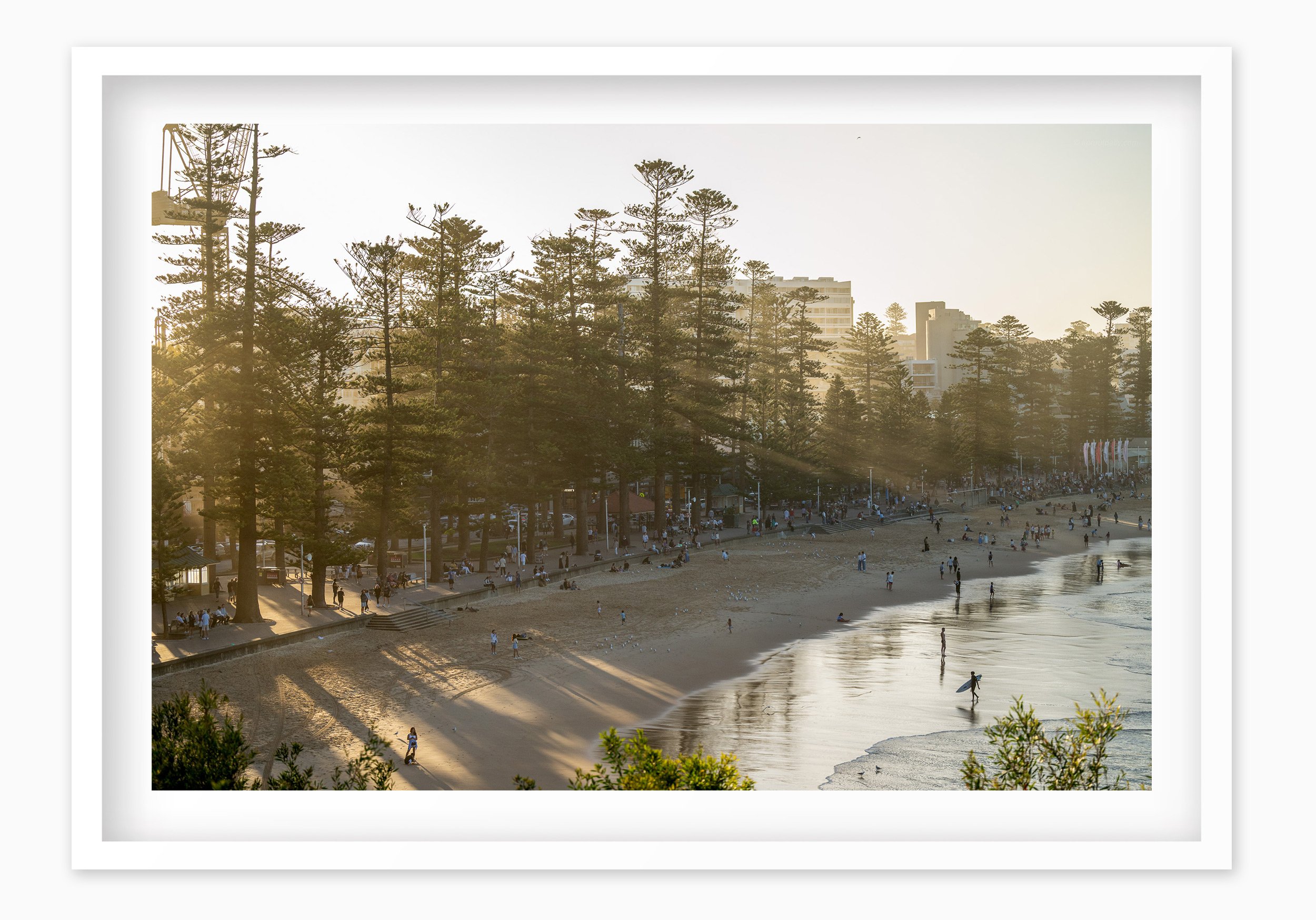 mfsprout_20250418_1490_WhiteBox-Frame-SproutDaily_PrintShop.jpg