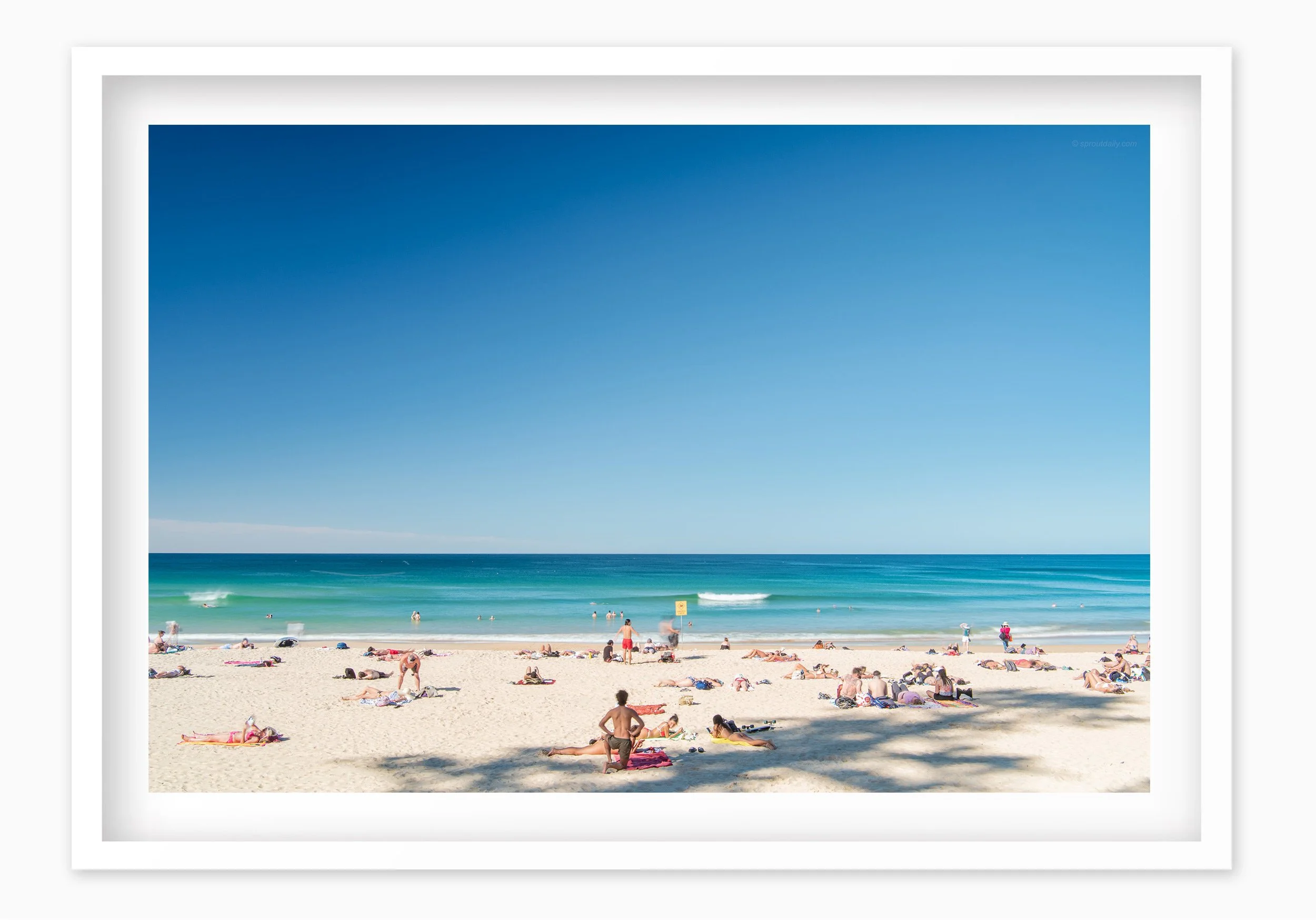 mfsprout_20190326-1033_WhiteBox-Frame-SproutDaily_PrintShop.jpg