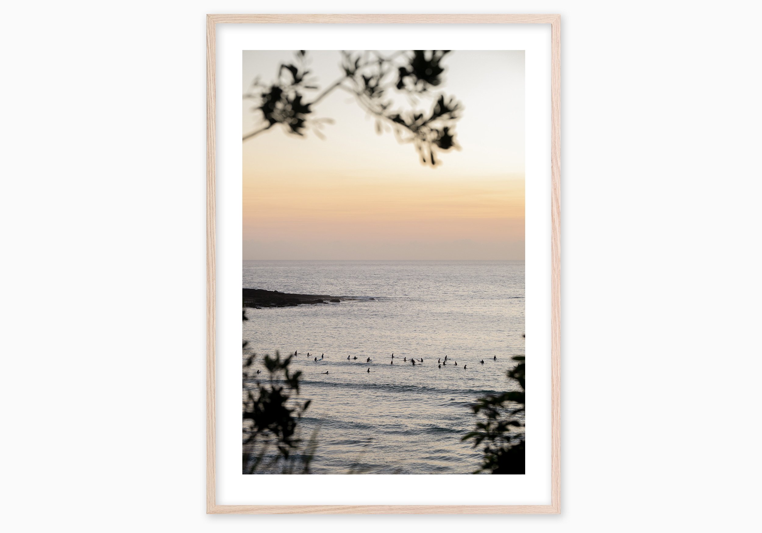mfsprout_20250207_7_RawOak-Frame_SproutDaily_PrintShop.jpg