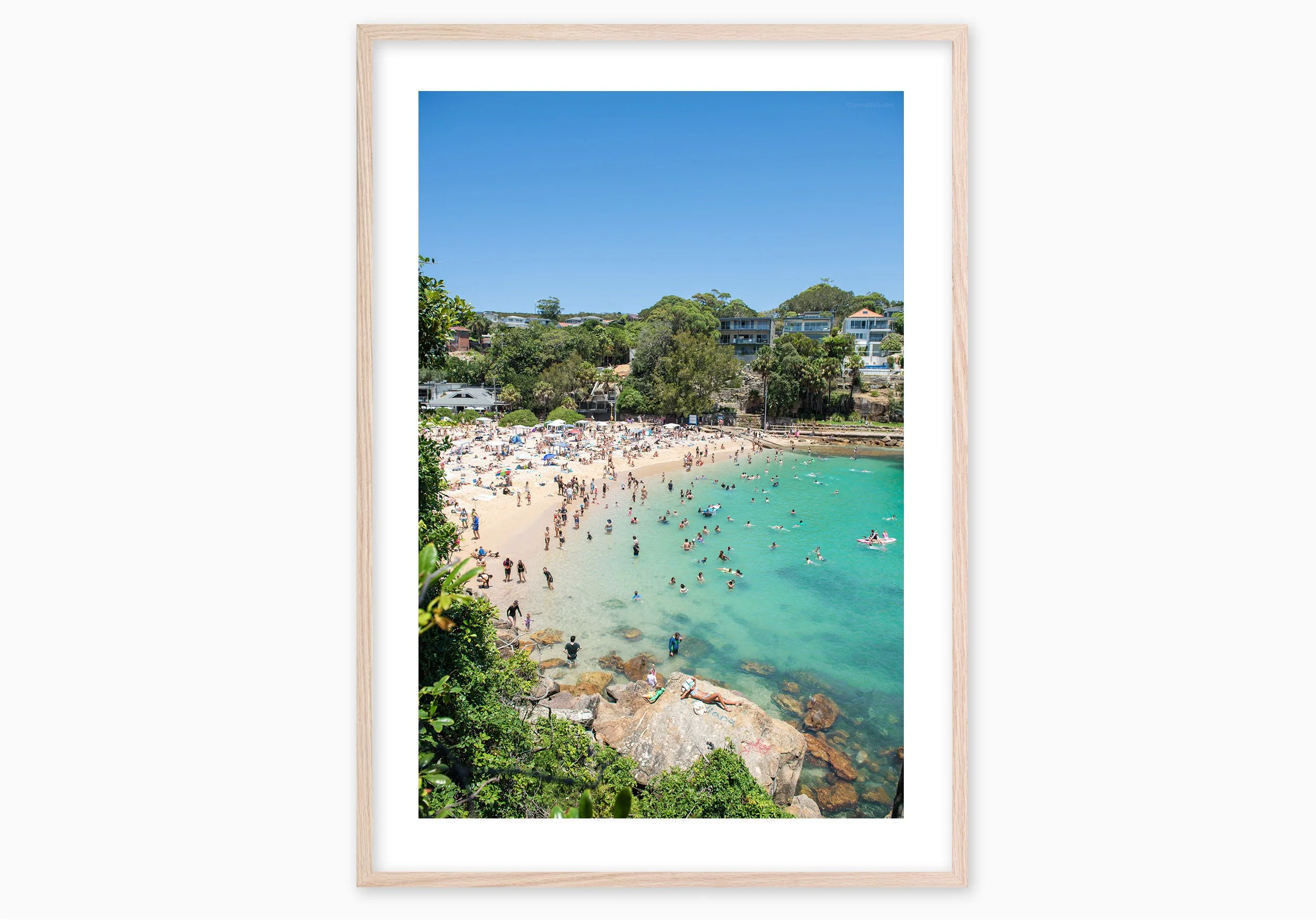 mfsprout_20231230_449-Edit_RawOak-Frame_SproutDaily_PrintShop.jpg