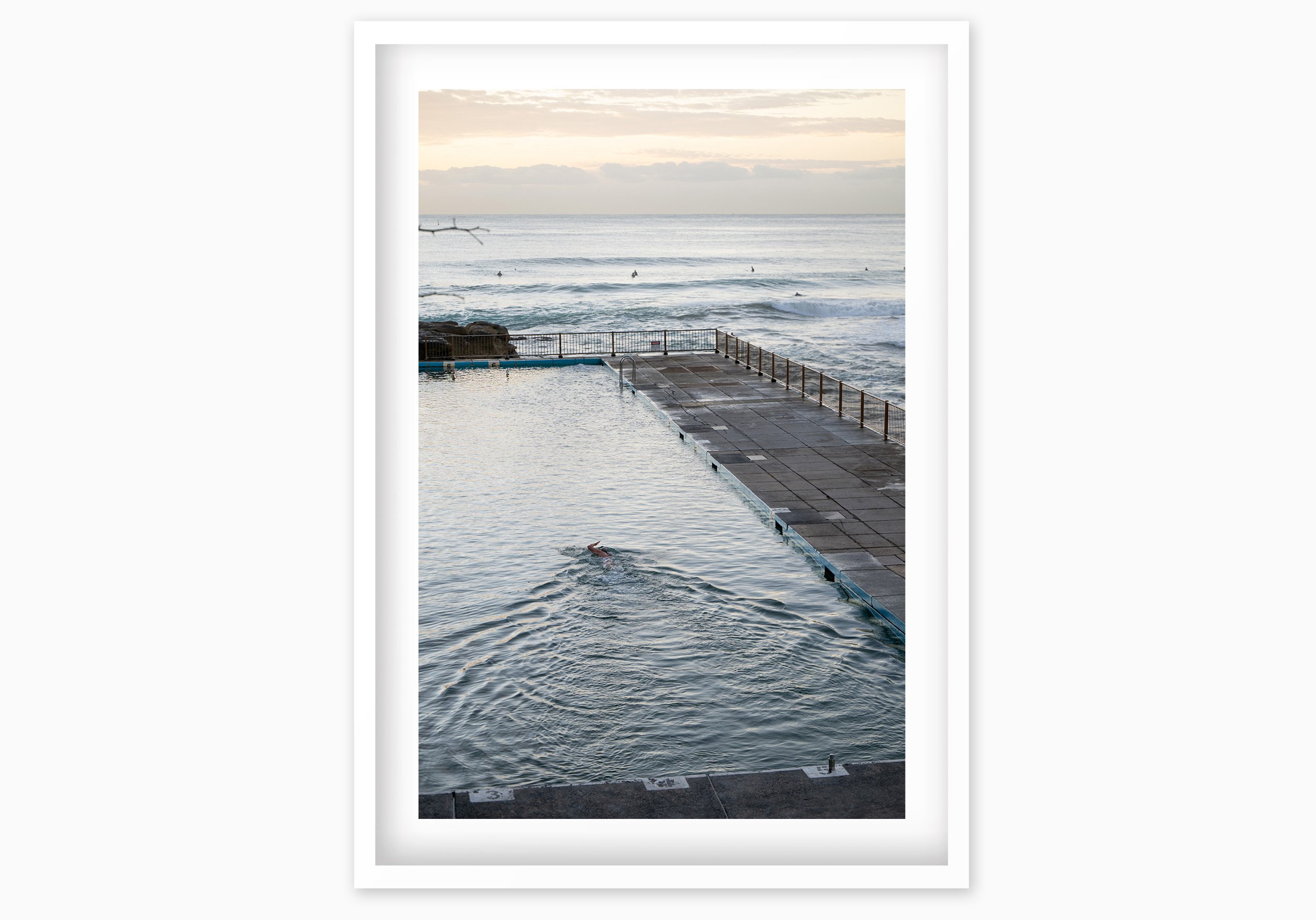 mfsprout_20250218_322_WhiteBox-Frame-SproutDaily_PrintShop.jpg