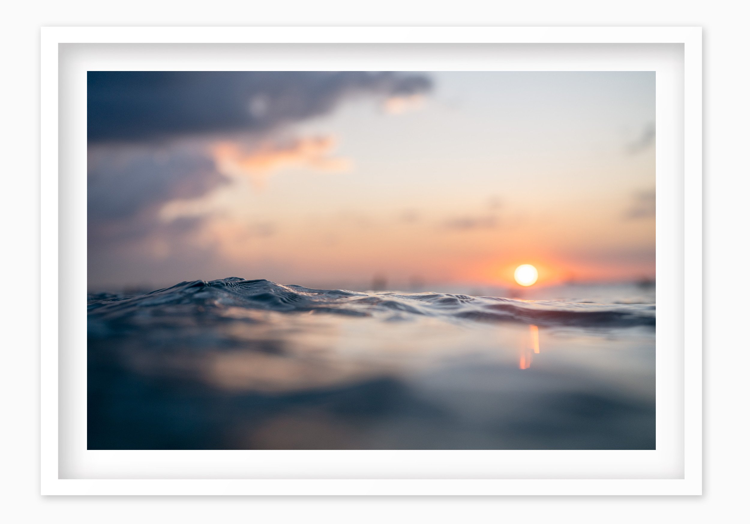 mfsprout_20250404_386_WhiteBox-Frame-SproutDaily_PrintShop.jpg