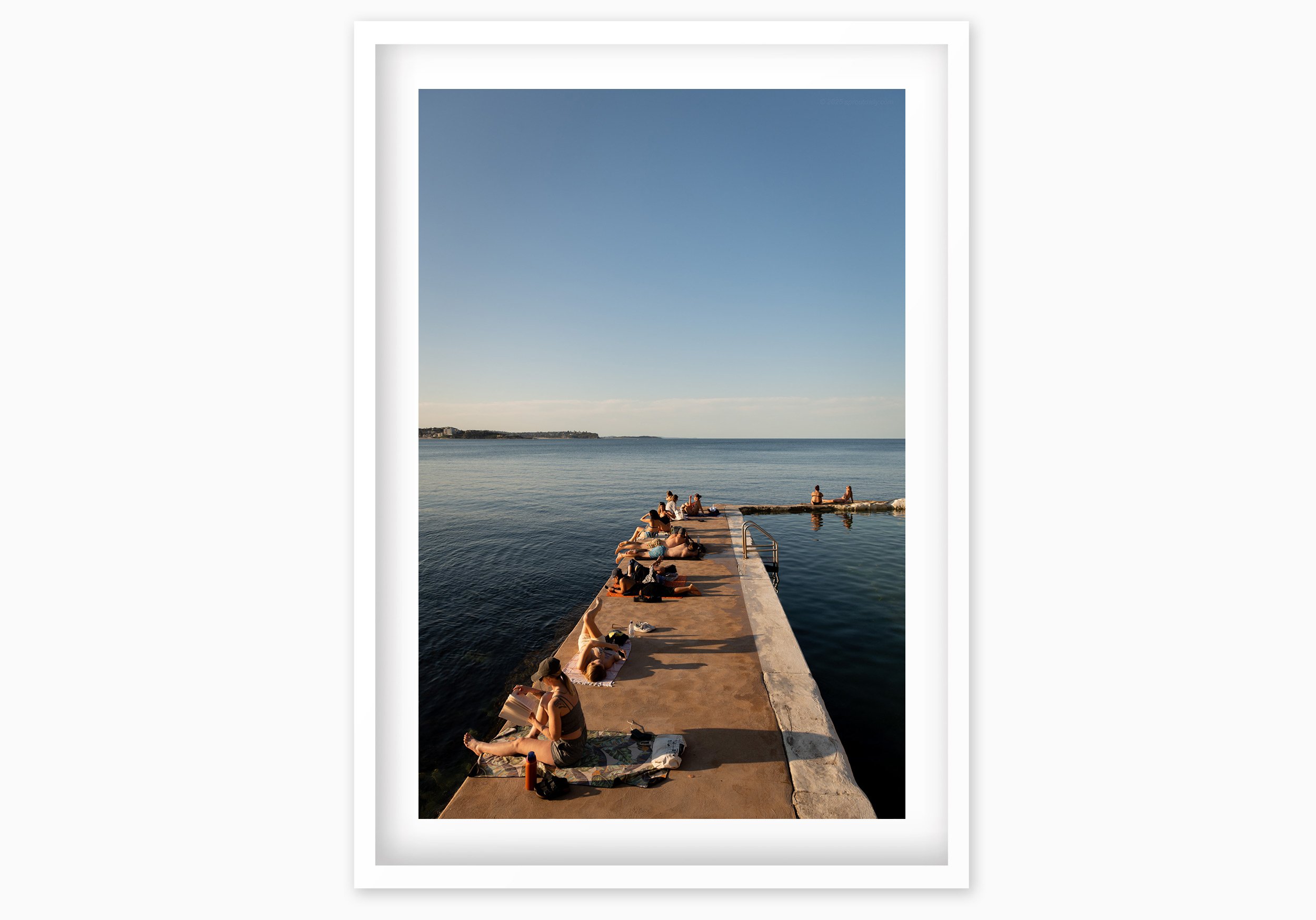 mfsprout_20240909_1776_WhiteBox-Frame-SproutDaily_PrintShop.jpg
