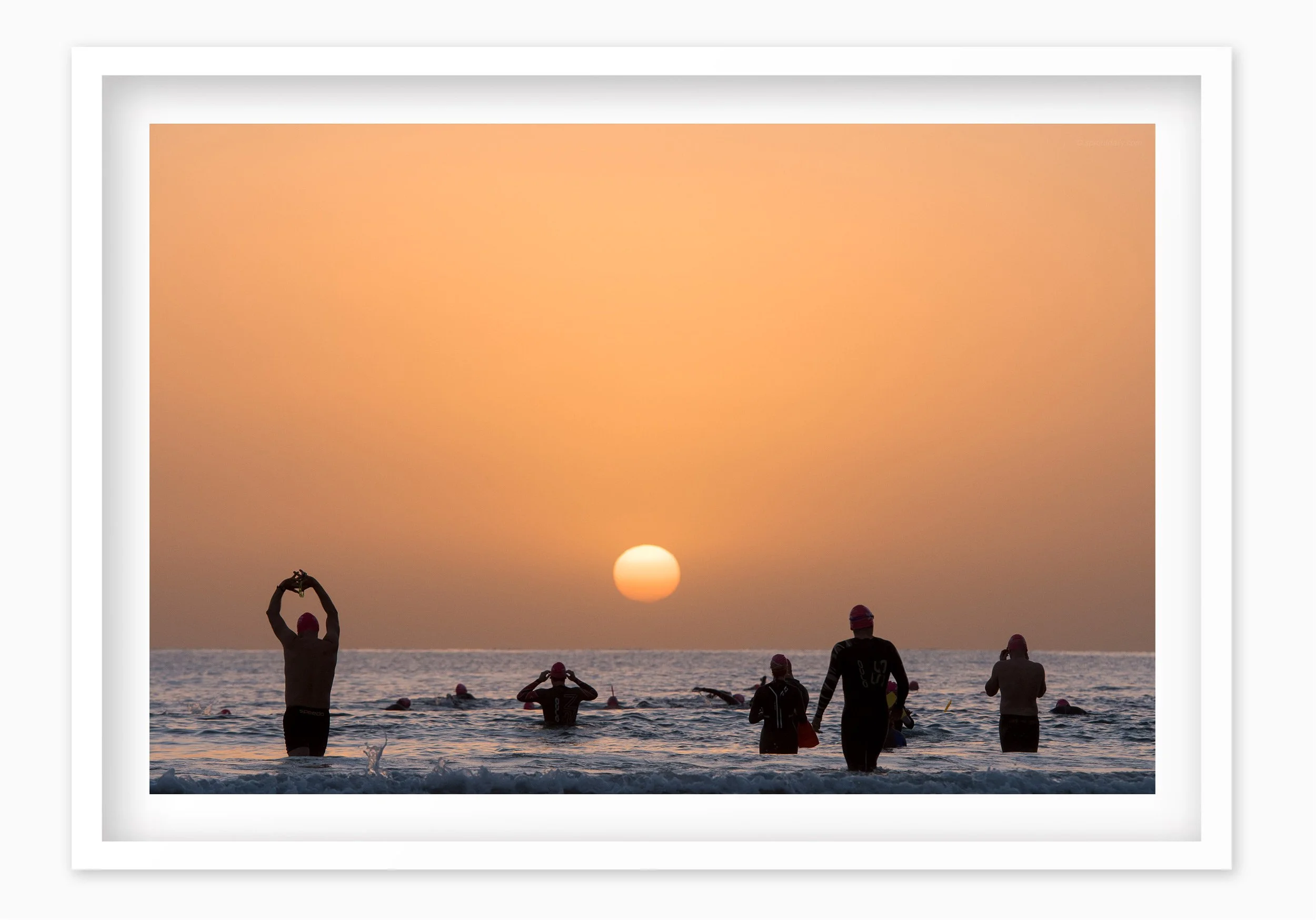 mfsprout20180718_178_WhiteBox-Frame-SproutDaily_PrintShop.jpg