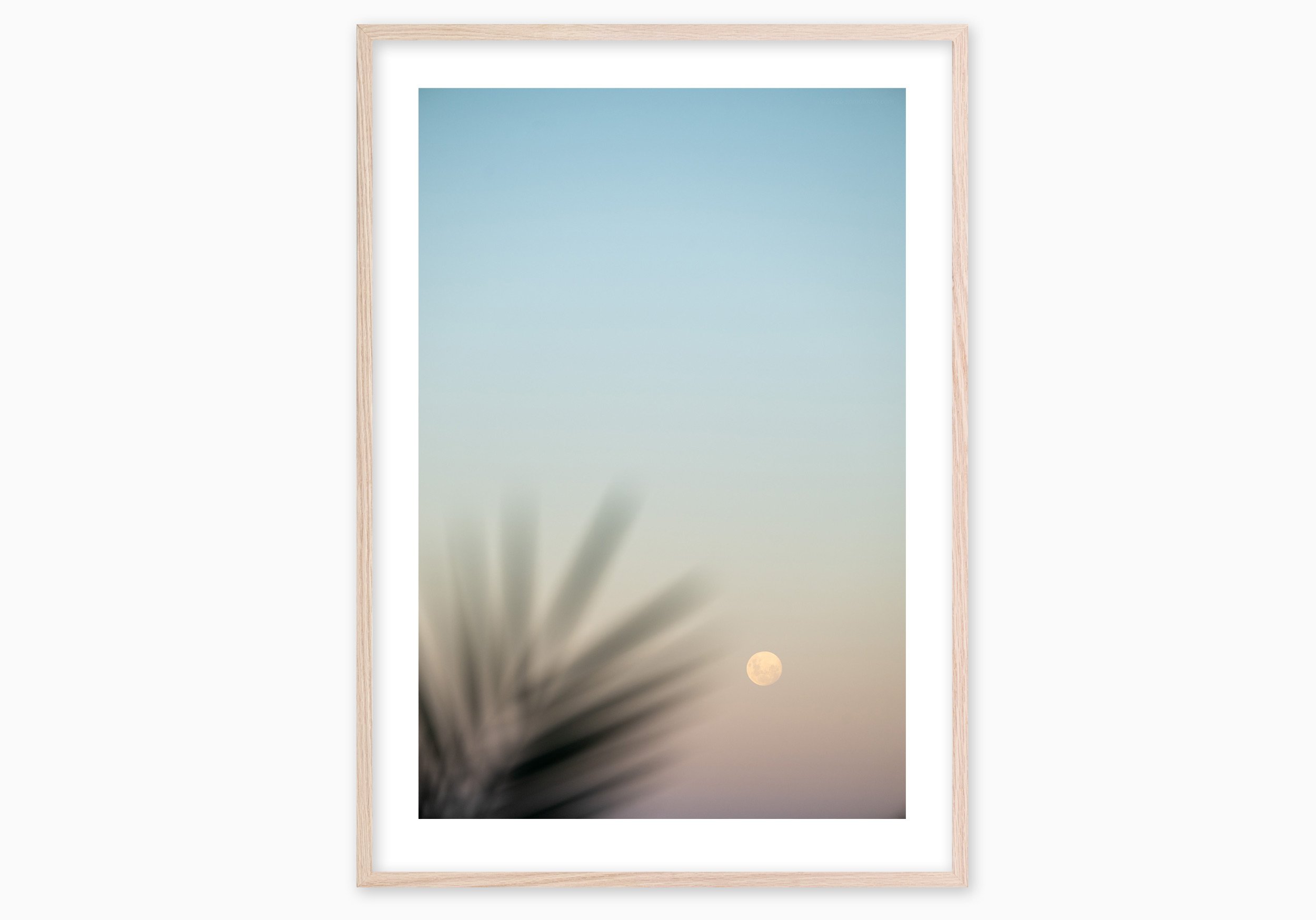 mfsprout_20250313_1047_RawOak-Frame_SproutDaily_PrintShop.jpg