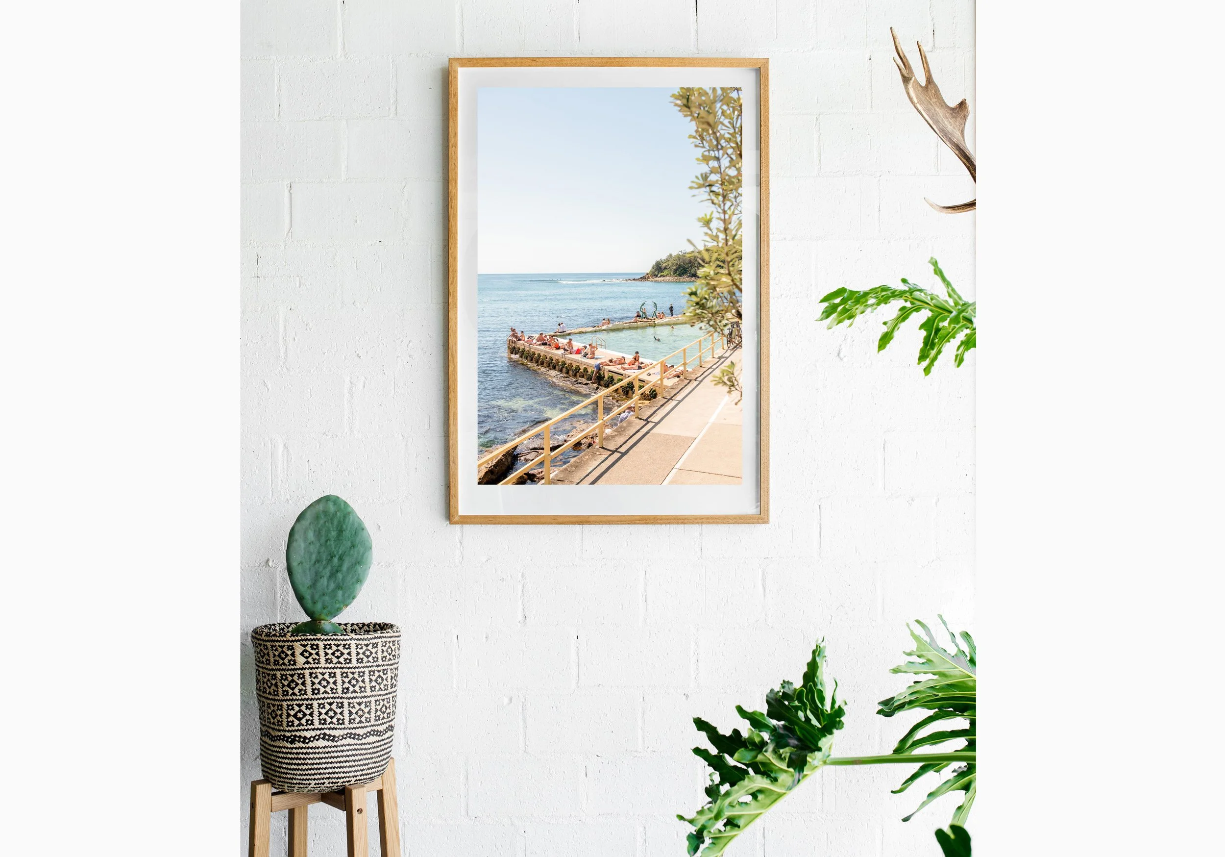 Insitu_mfsprout_20220925_180-Edit_RawOak-Frame_SproutDaily_PrintShop.jpg