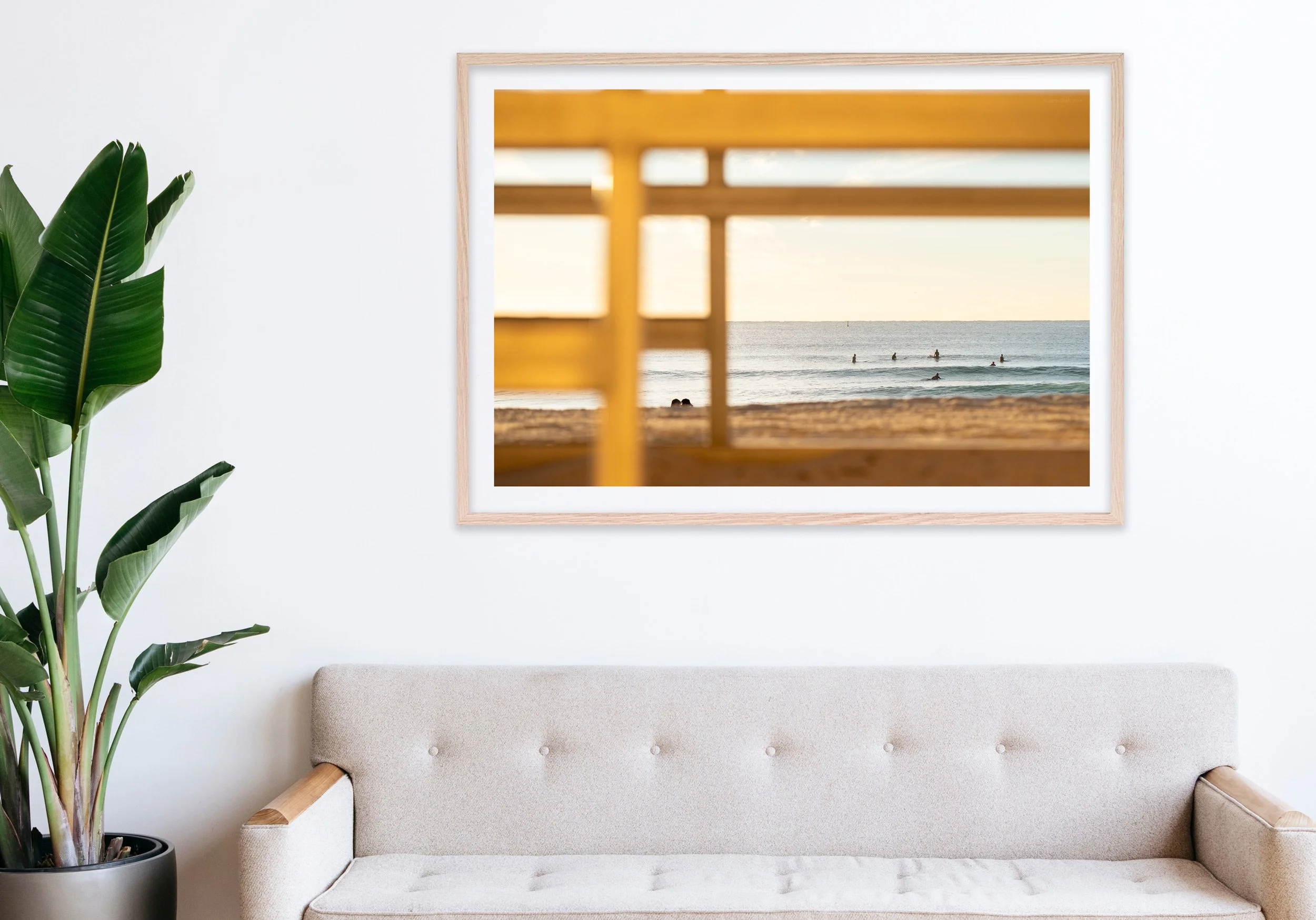 Insitu_mfsprout_20260806_335_RawOak-Frame_SproutDaily_PrintShop.jpg