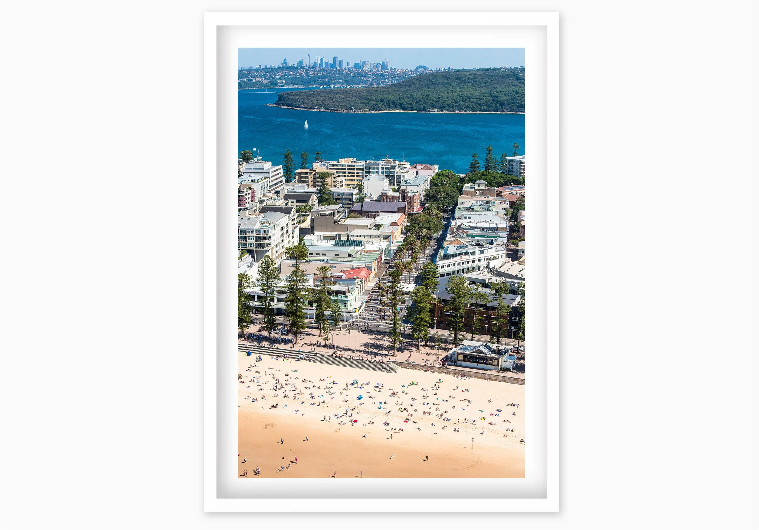 mfsprout_20160406_1378_WhiteBox-Frame-SproutDaily_PrintShop.jpg