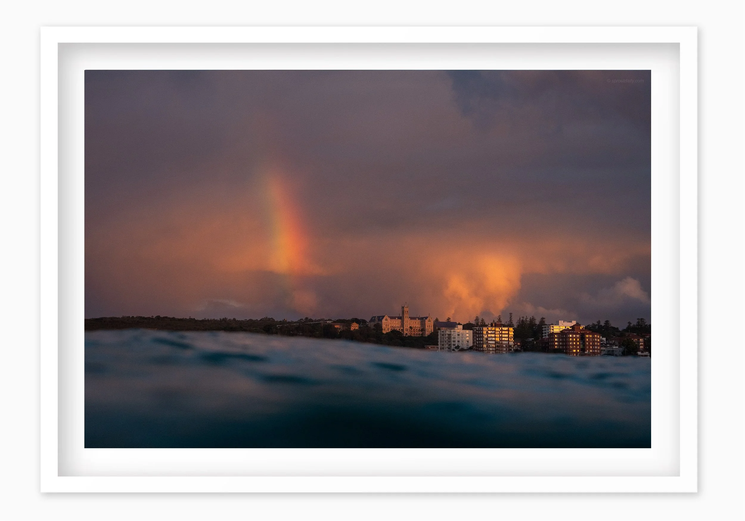 mfsprout20180611_175_WhiteBox-Frame-SproutDaily_PrintShop.jpg