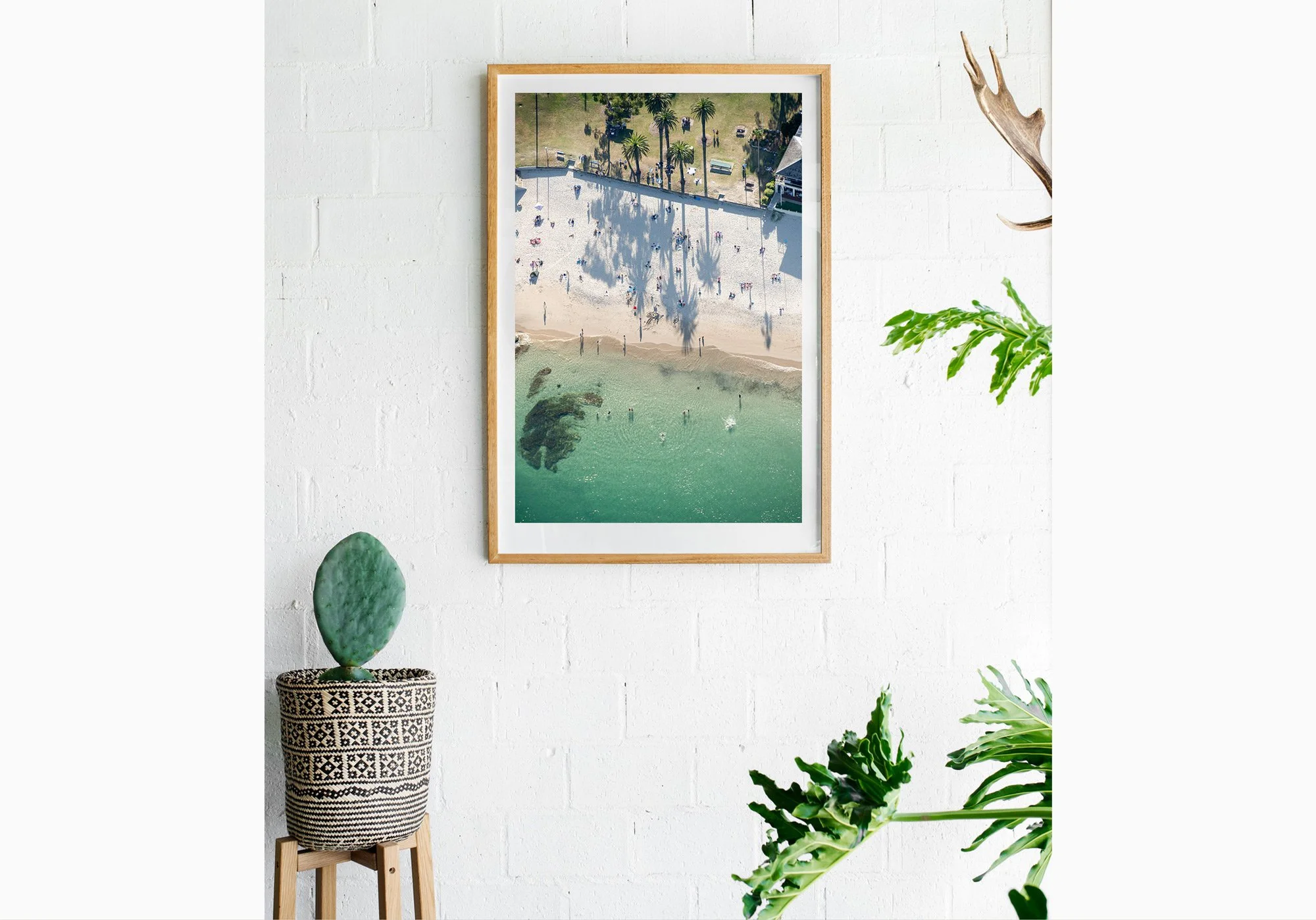 mfsproutt_20201206_2277-print-insitu.jpg