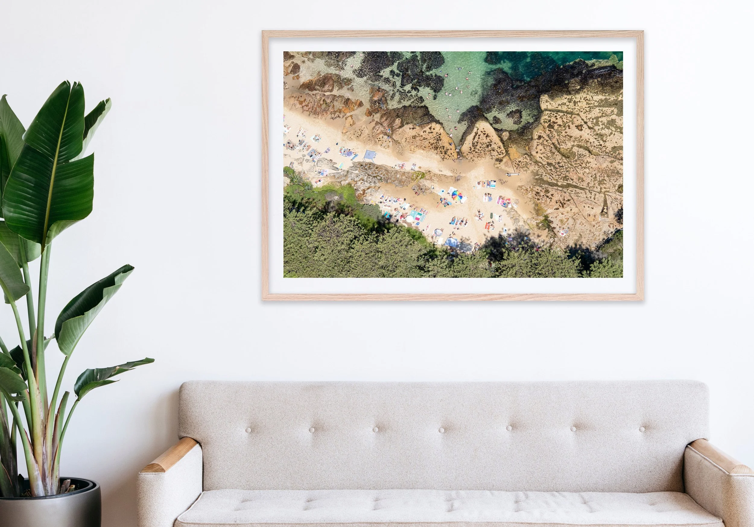 Insitu_mfsprout_20190101-3402-Edit-Edit_RawOak-Frame_SproutDaily_PrintShop.jpg
