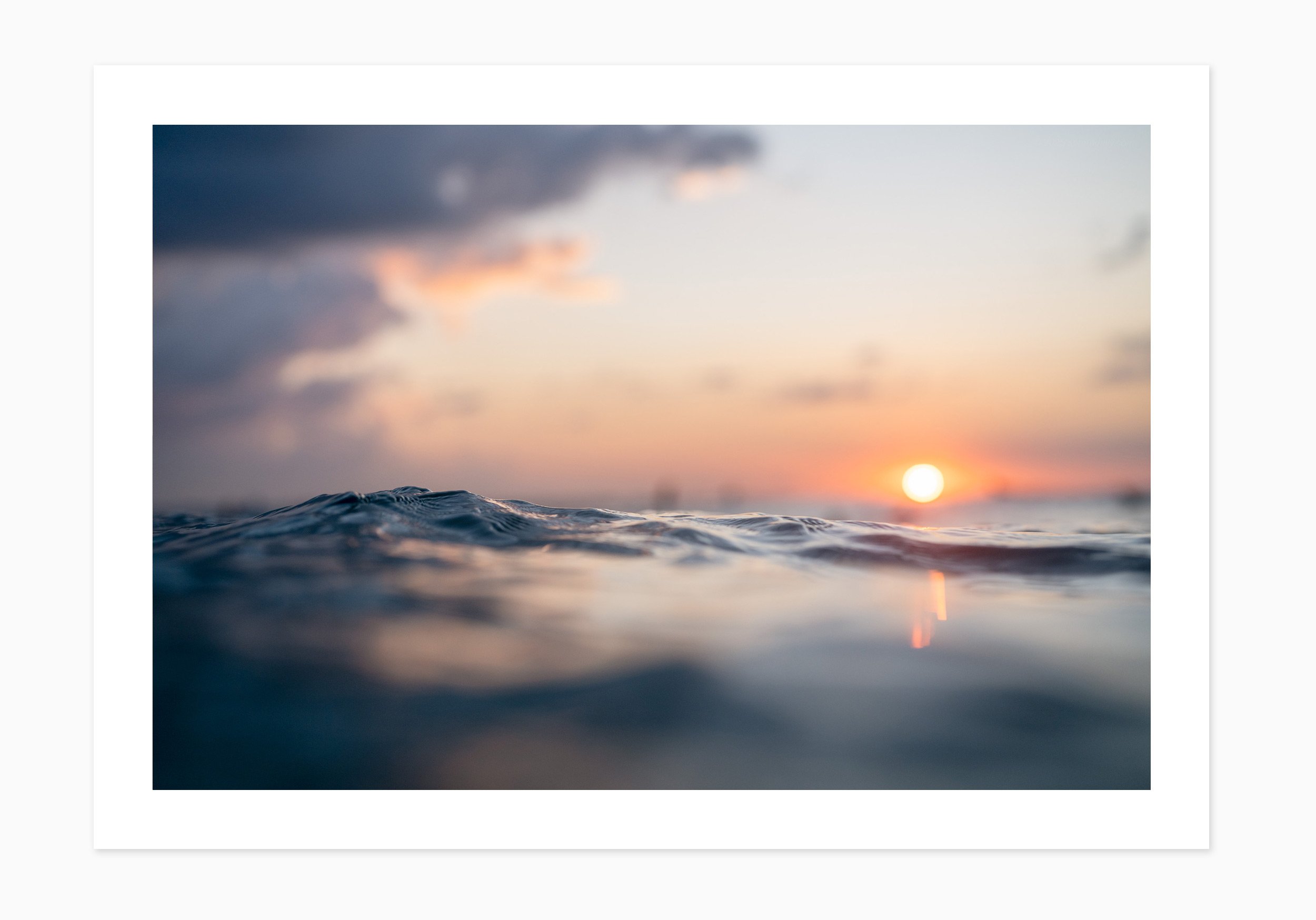 mfsprout_20250404_386_PrintOnly-SproutDaily_PrintShop.jpg