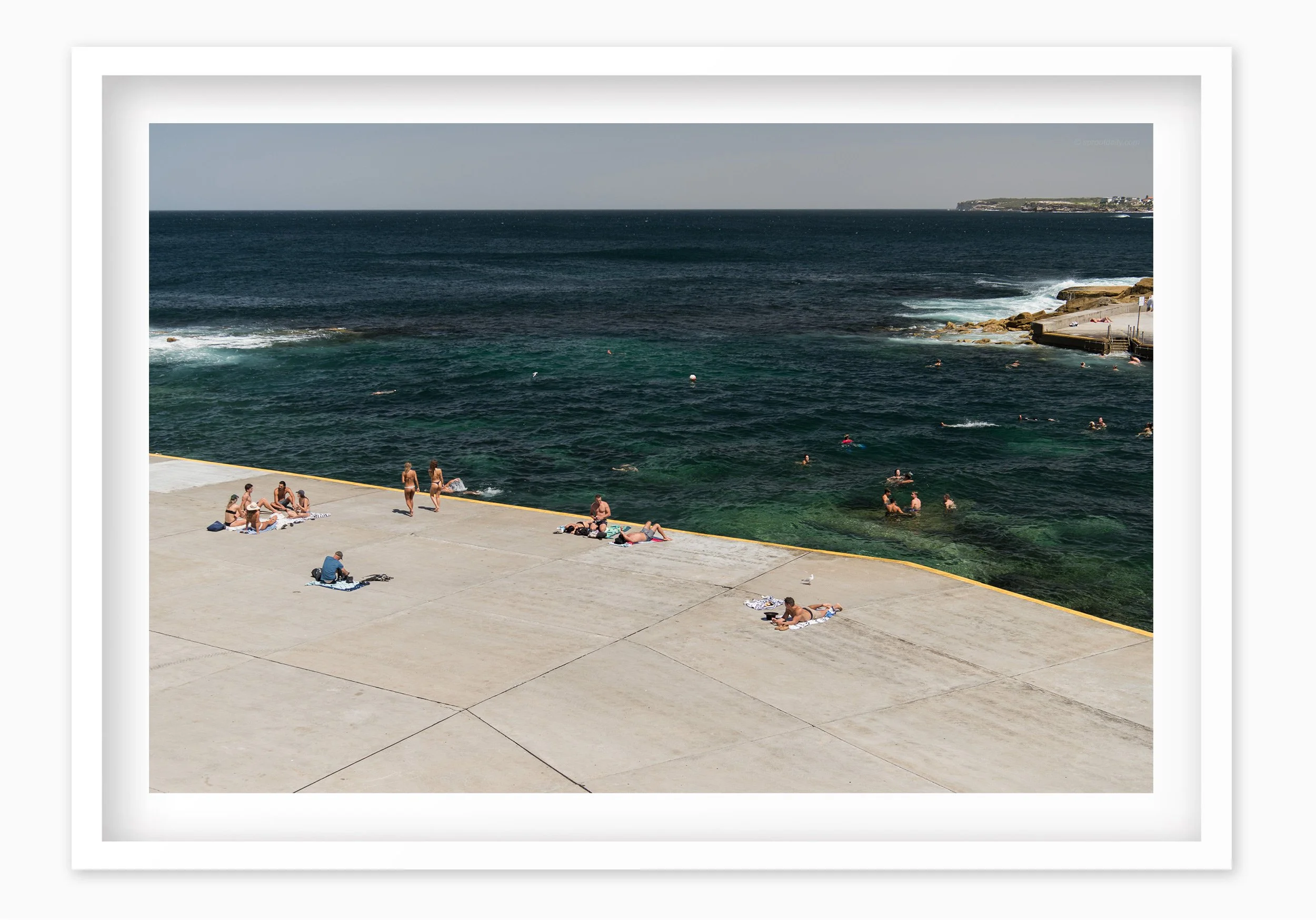 mfsprout_20190212_1219_WhiteBox-Frame-SproutDaily_PrintShop.jpg