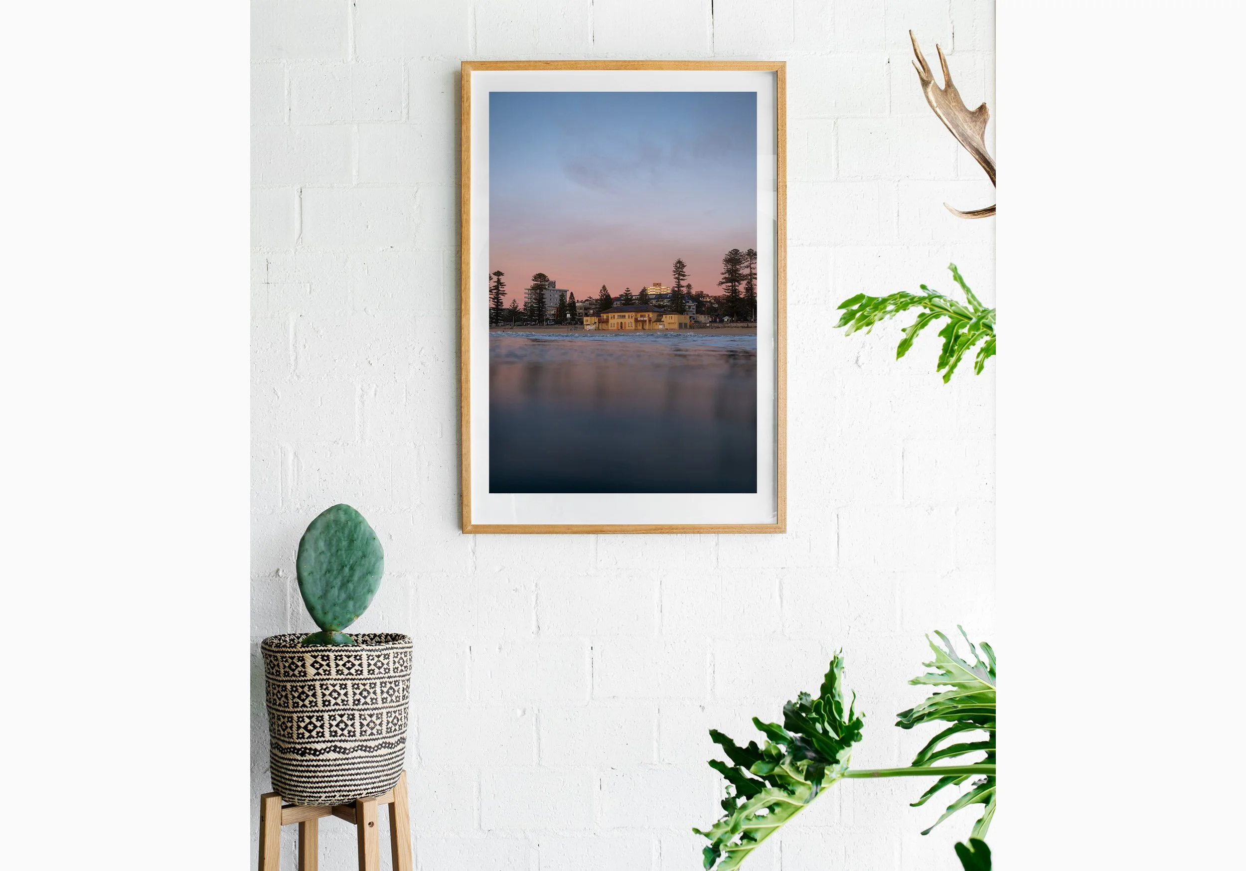 mfsprout_20240620_397-Oak-Frame-Insitu.jpg