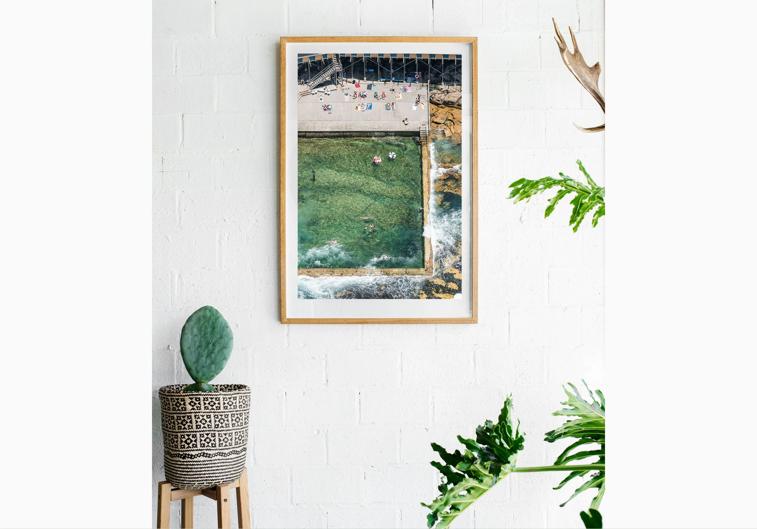 mfsprout_20161231_36-Insitu.jpg