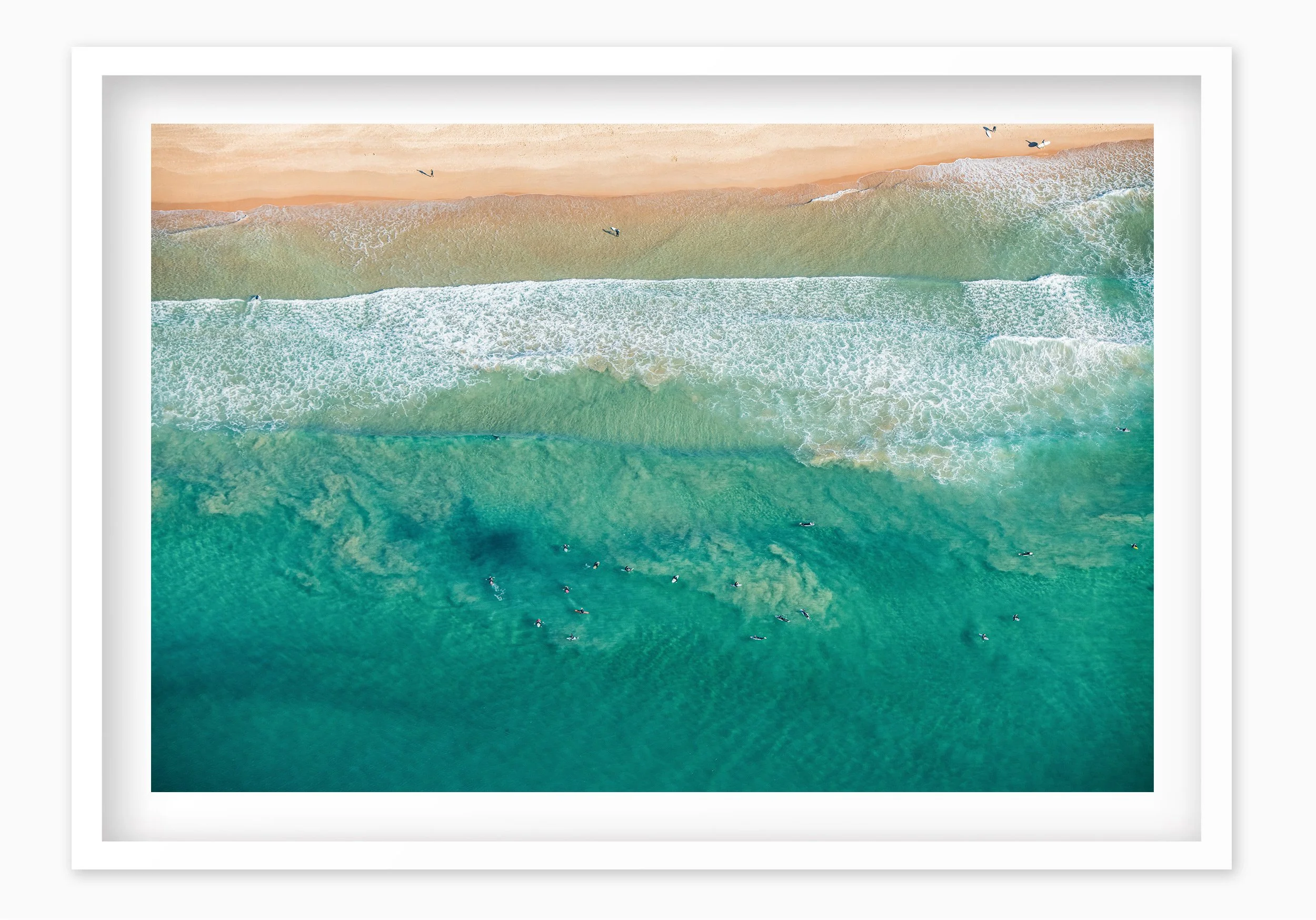 mfsprout_20190815_1003_WhiteBox-Frame-SproutDaily_PrintShop.jpg