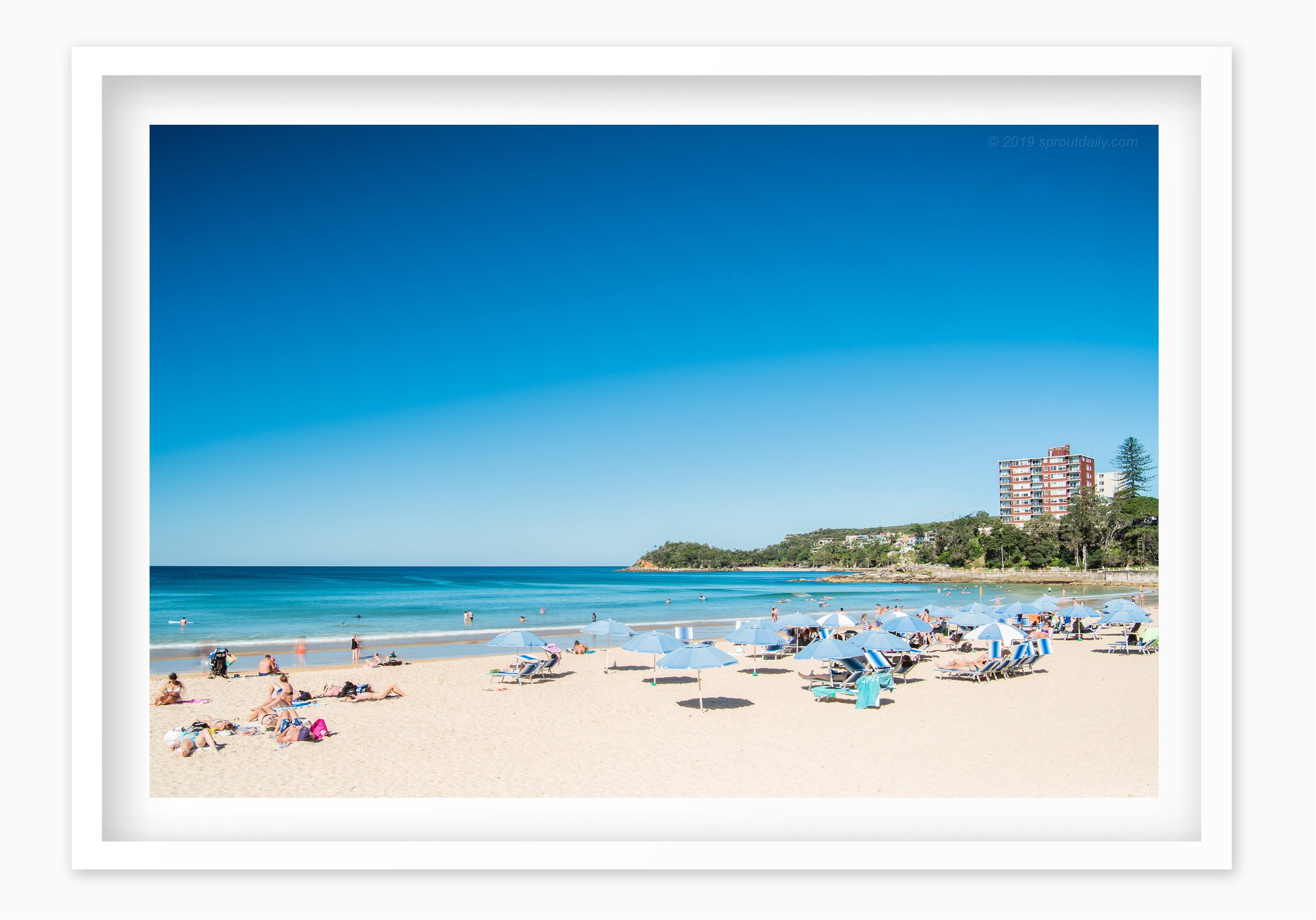 mfsprout_20190326-1060_WhiteBox-Frame-SproutDaily_PrintShop.jpg
