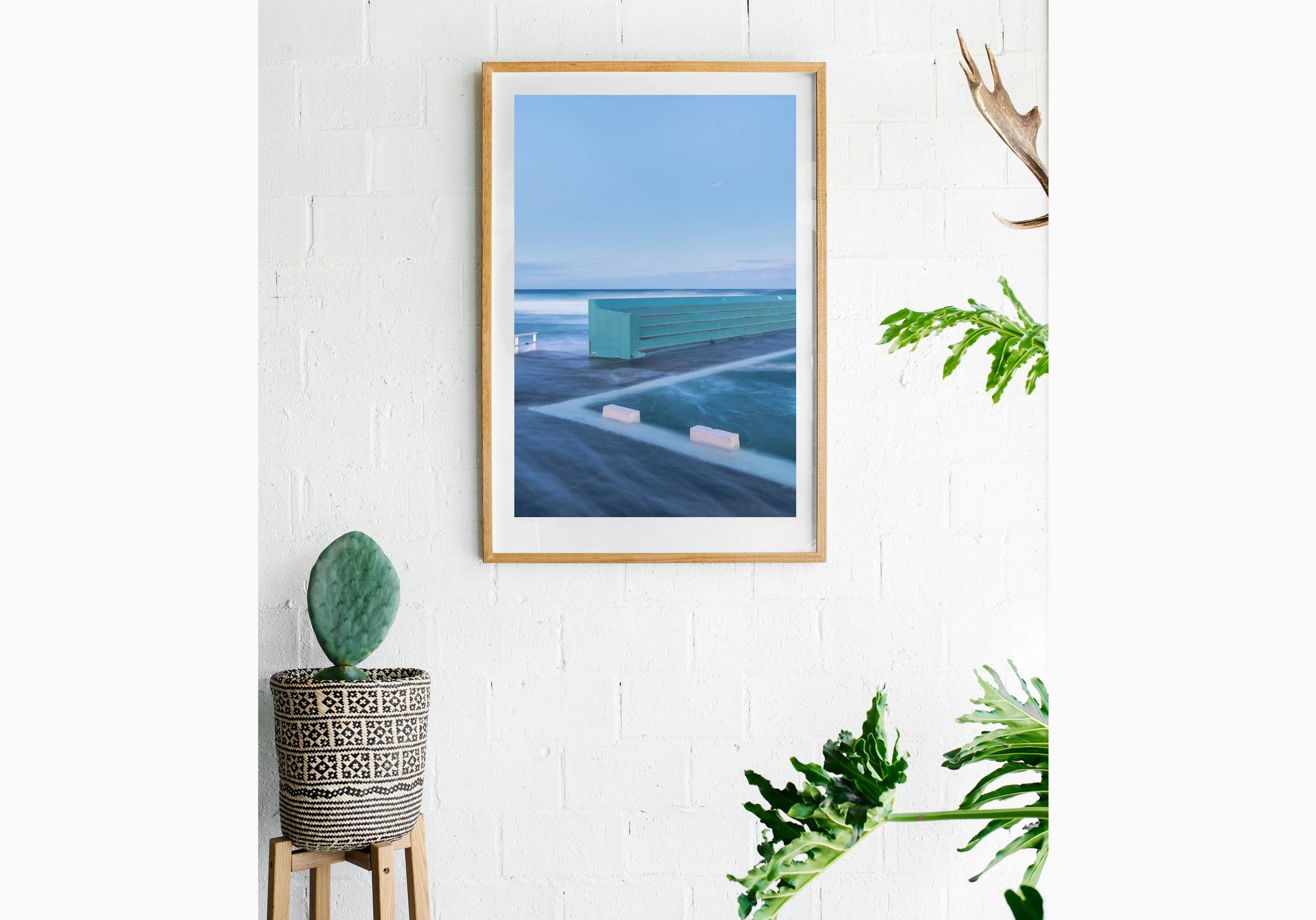 Insitu_mfsprout20180709_473_RawOak-Frame_SproutDaily_PrintShop.jpg