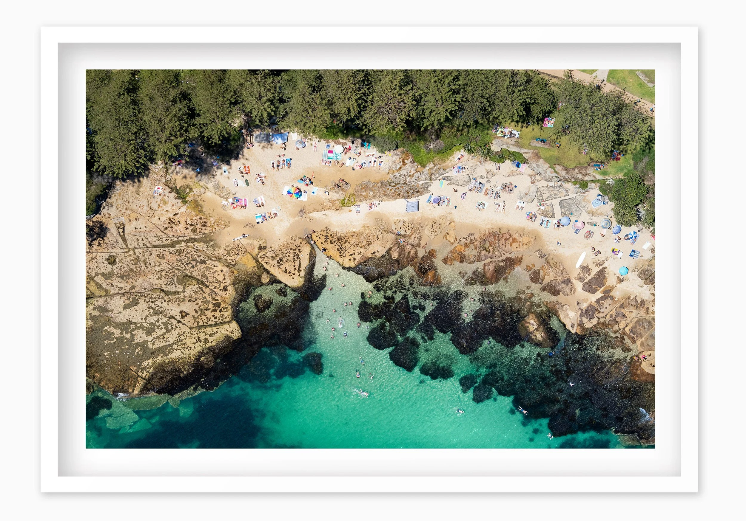 mfsprout_20190101-3400_WhiteBox-Frame-SproutDaily_PrintShop.jpg
