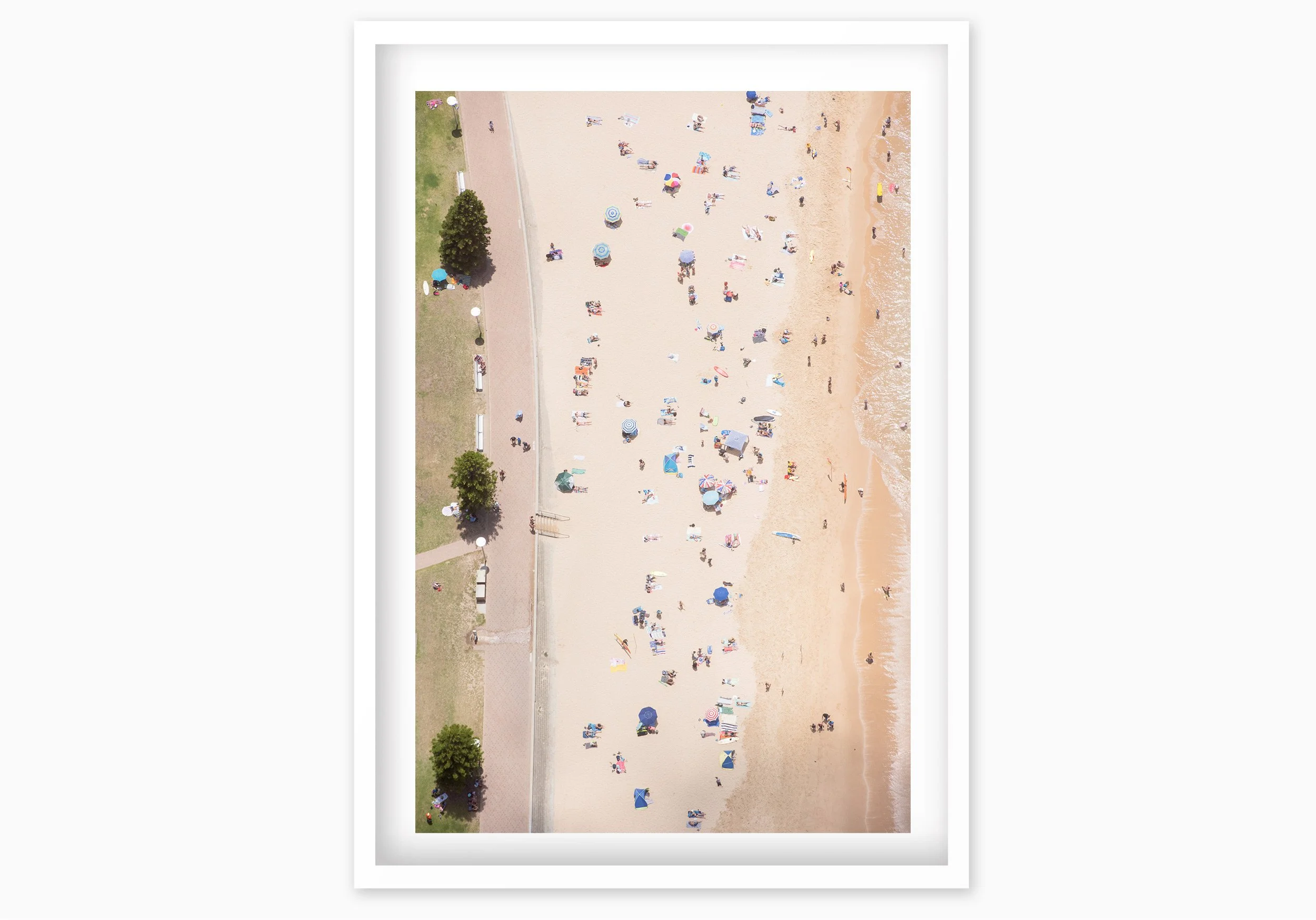 mfsprout_20161231_515-Edit-Edit_WhiteBox-Frame-SproutDaily_PrintShop.jpg