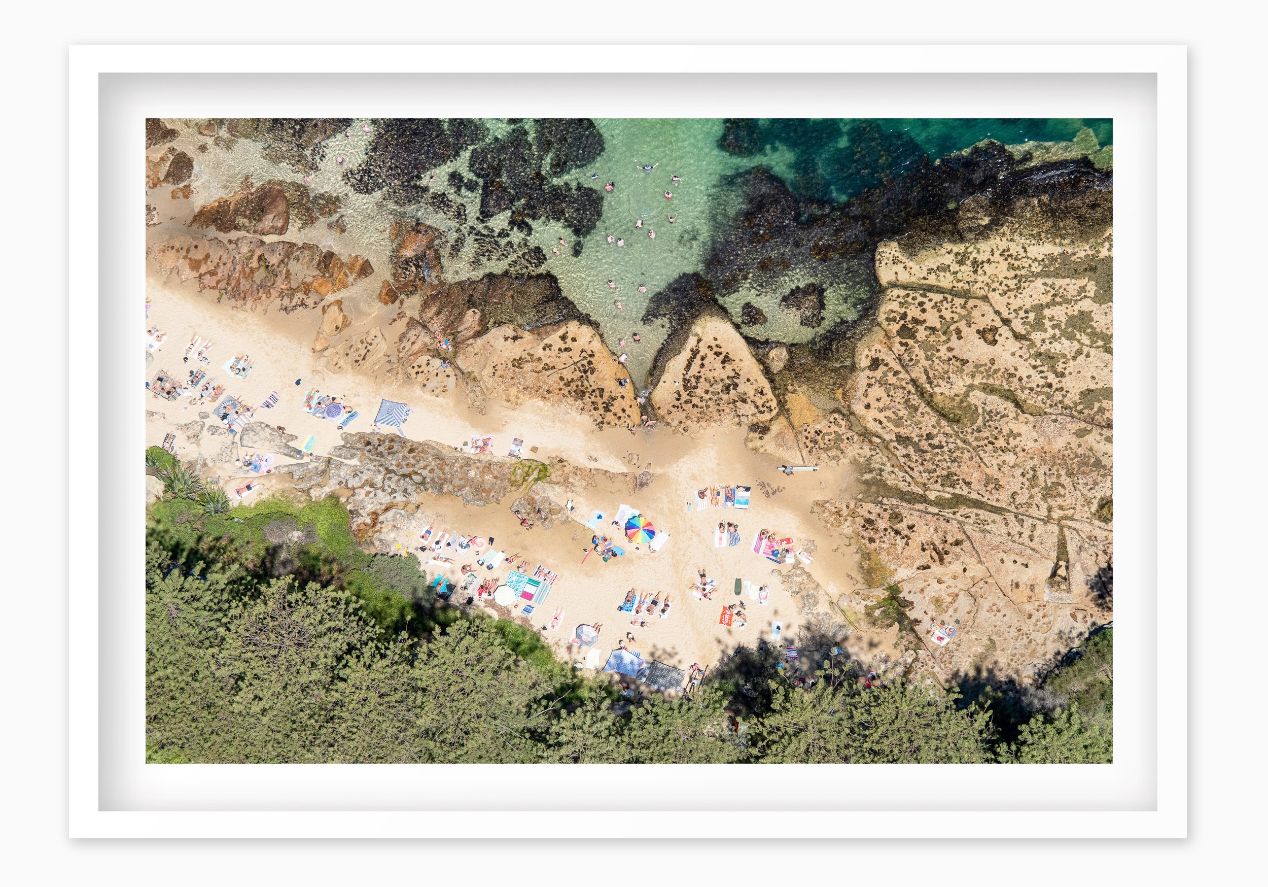 mfsprout_20190101-3402-Edit-Edit_WhiteBox-Frame-SproutDaily_PrintShop.jpg