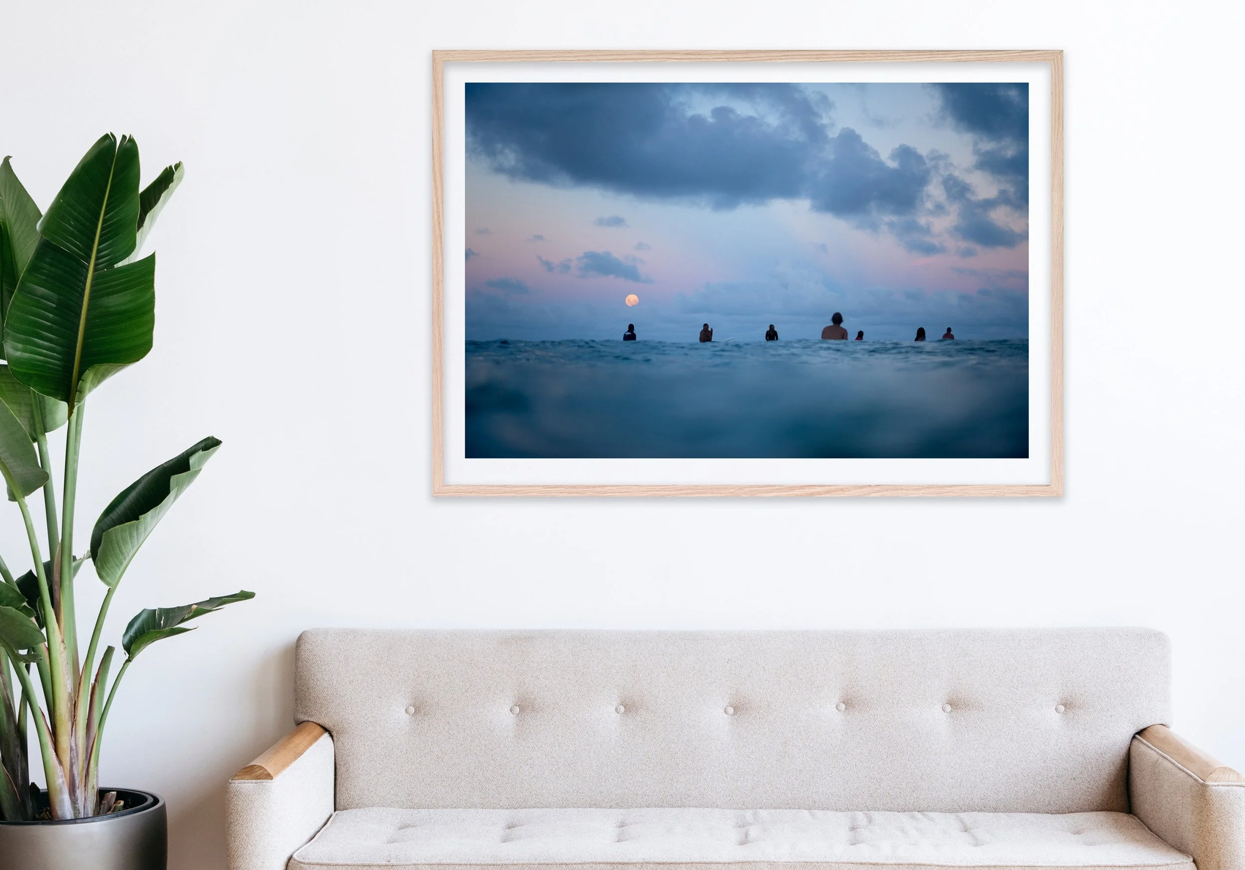 Insitu_mfsprout_20190320_2255_RawOak-Frame_SproutDaily_PrintShop.jpg