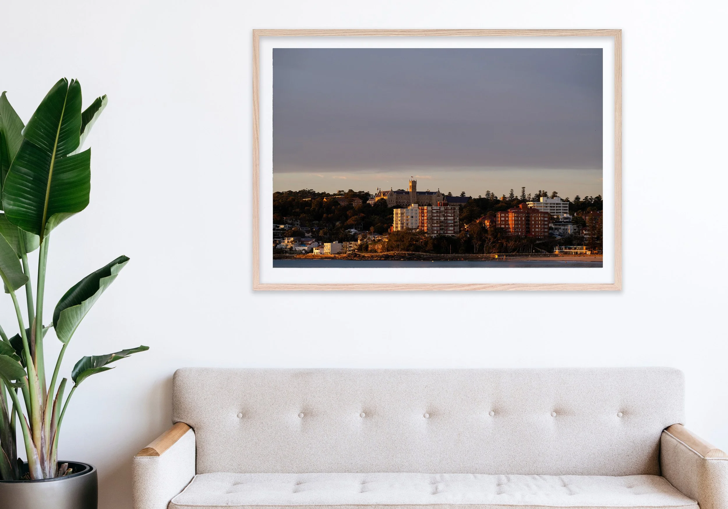 Insitu_mfsprout_20230627_214_RawOak-Frame_SproutDaily_PrintShop.jpg